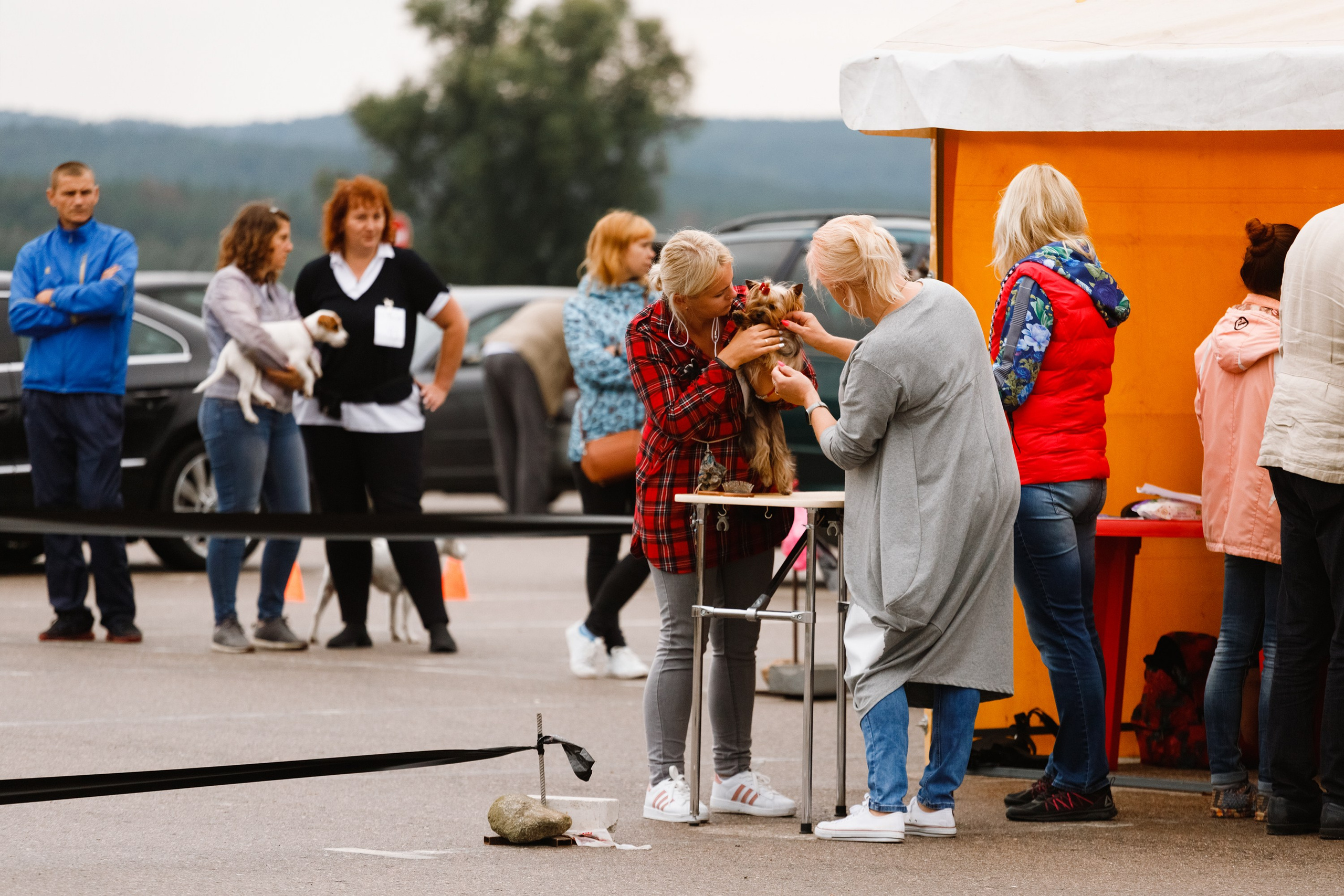 Rainy dog show in Grodno. Kaja | fotograf we Wrocławiu | ludzie i psy