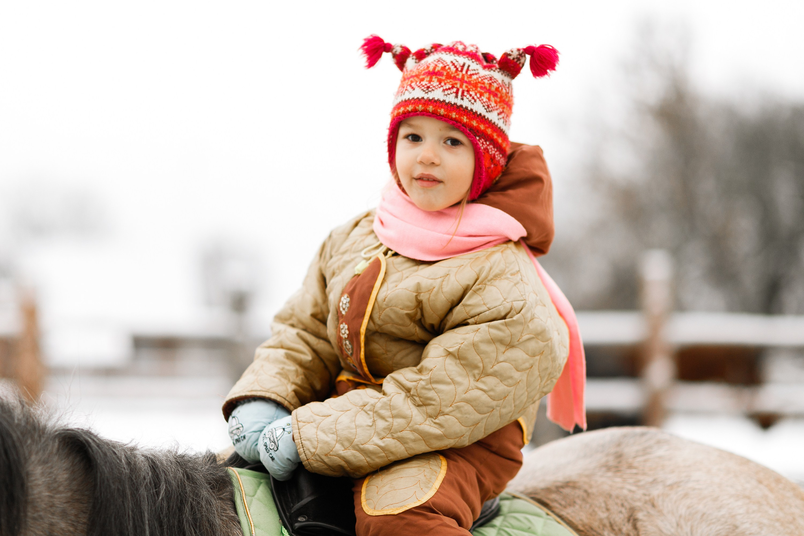 Winter stable. Kaja | fotograf psów we Wrocławiu