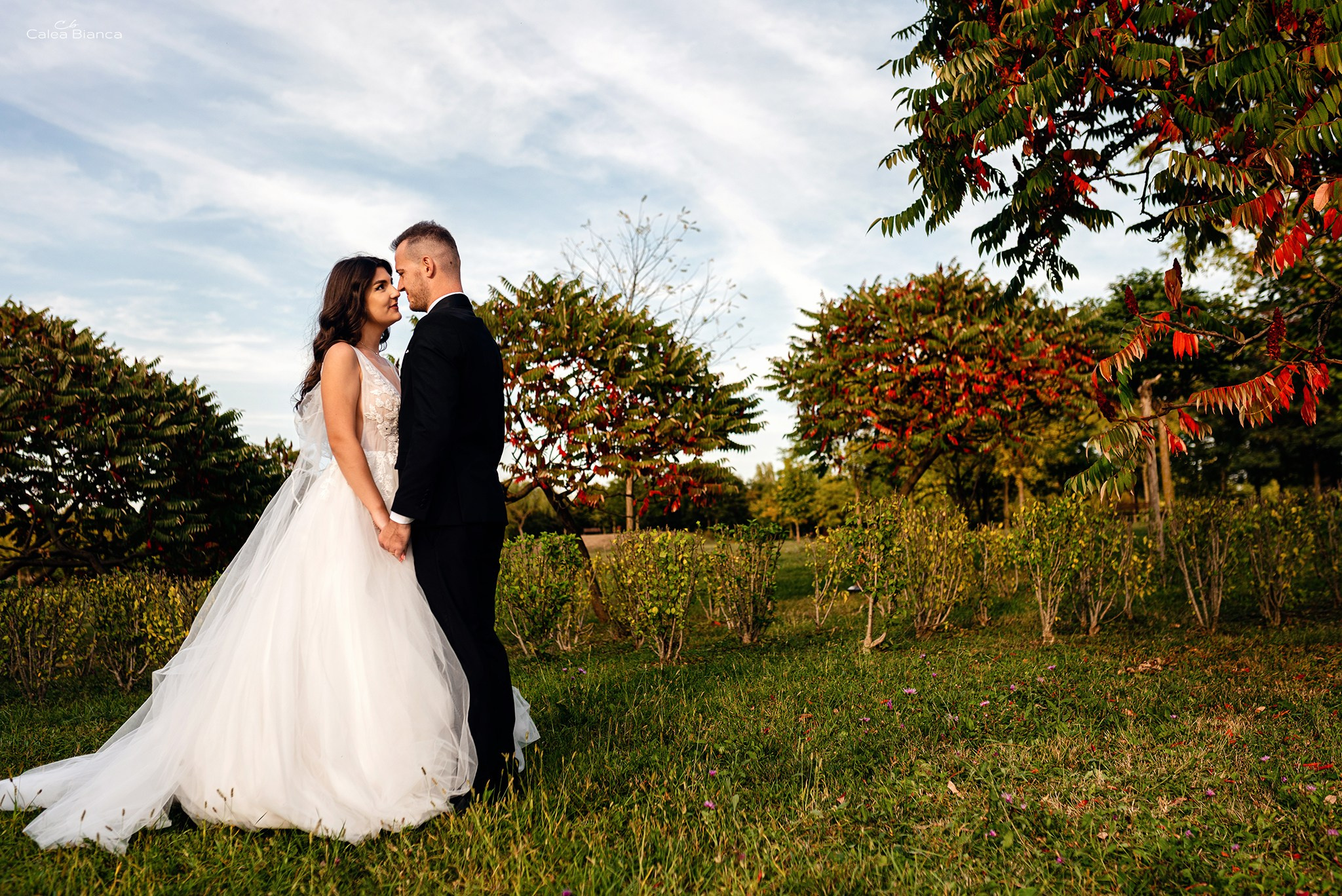 Andreea & Remus - 2022. Fotograf nunta si evenimente Giurgiu