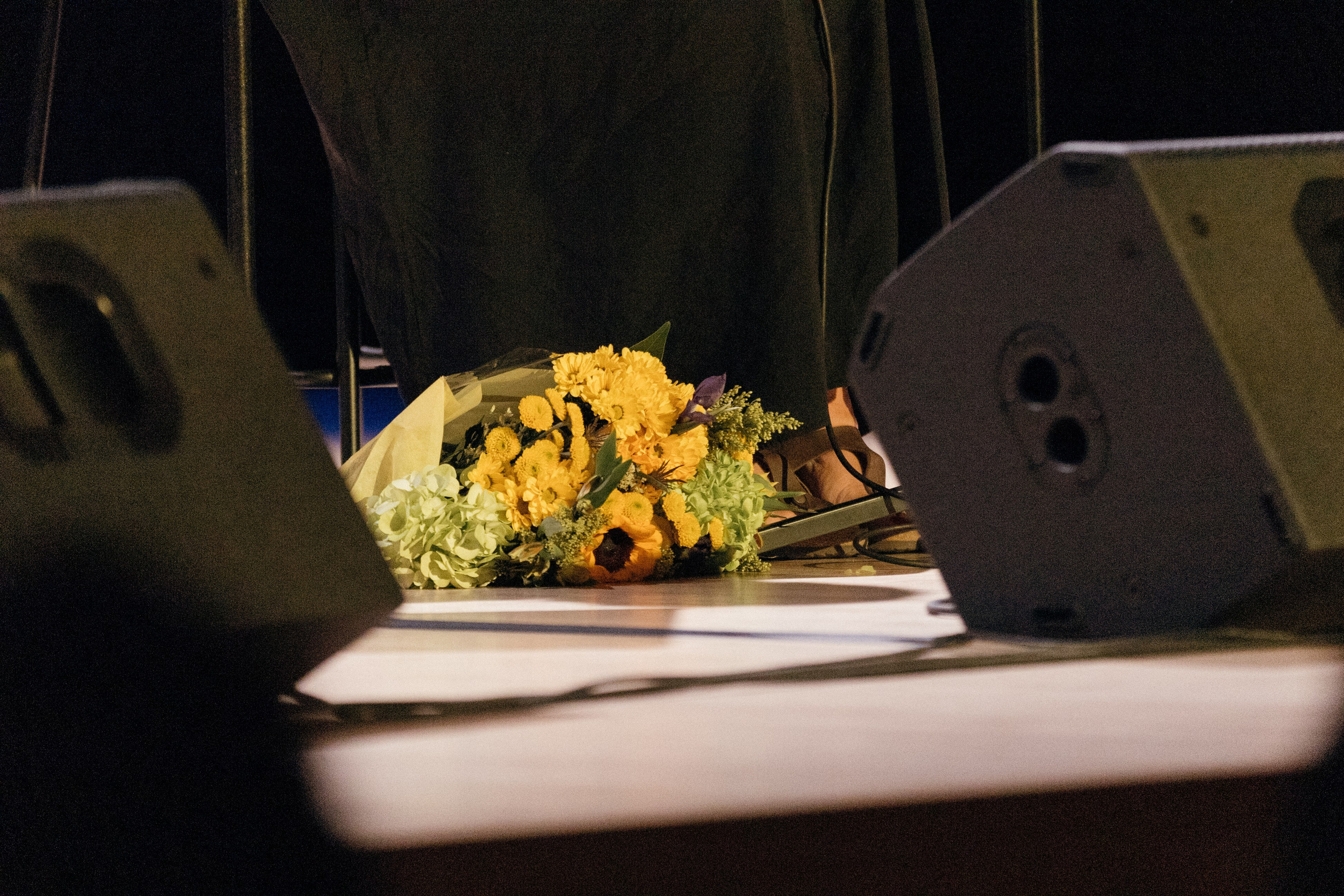 Вера Полозкова. Фотографии с мероприятий в Монреале