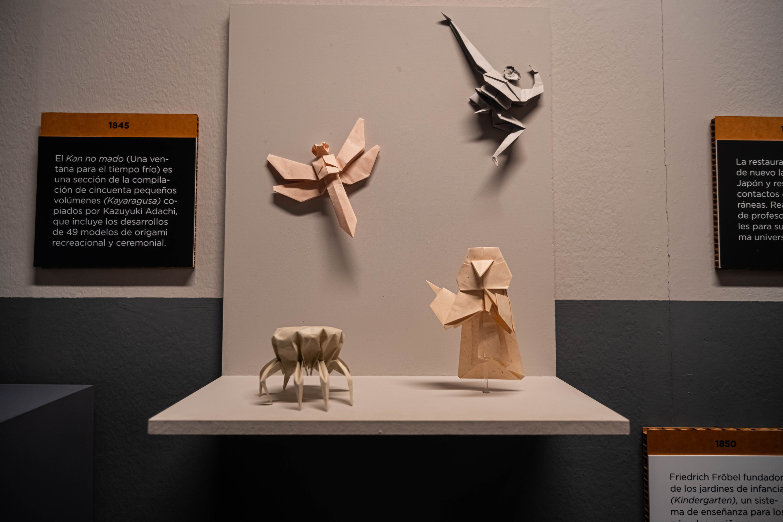 Museo de origami, Zaragoza. Alba del Norte Studio