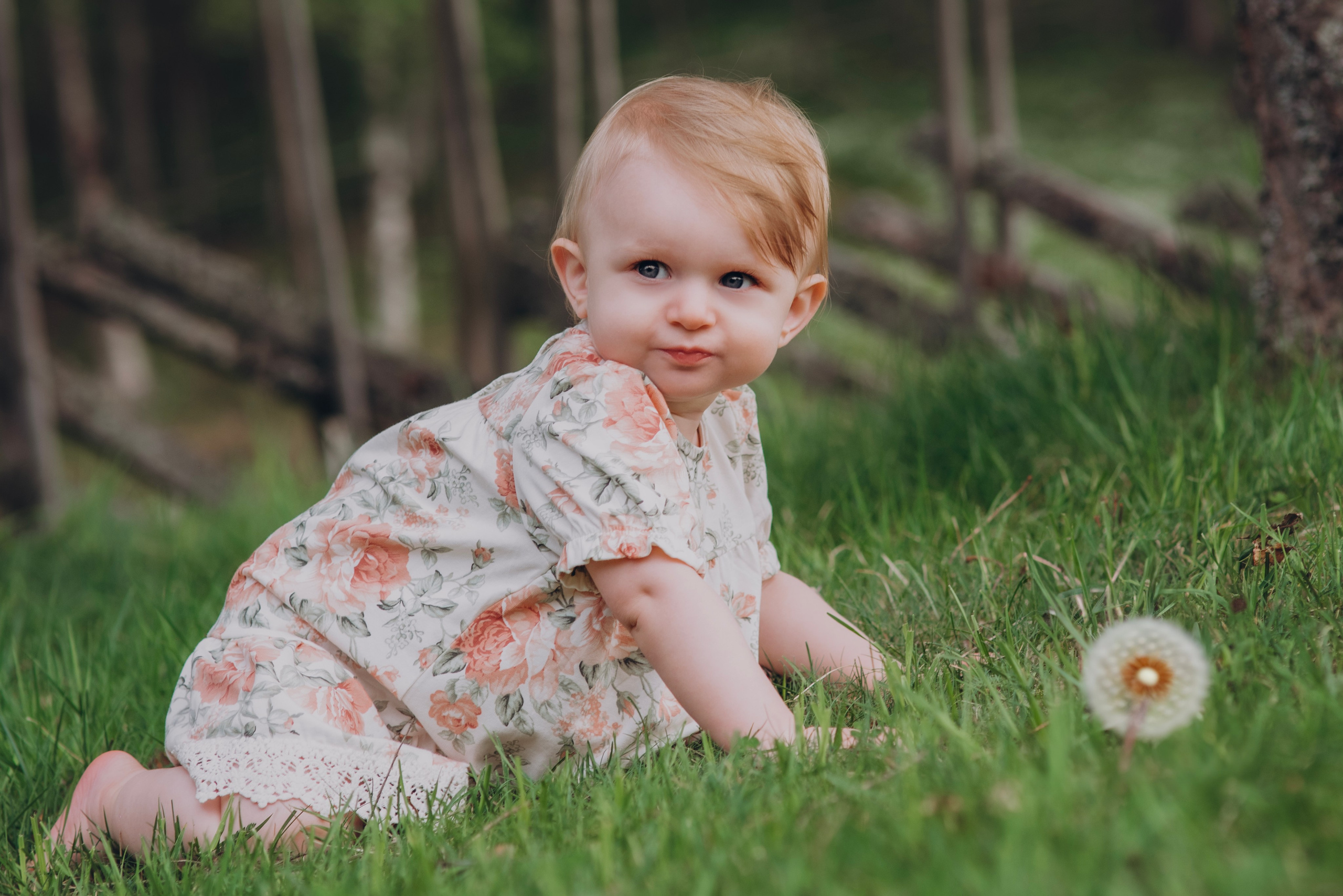 FAMILY BRULAND. Photographer and videographer in Norway and Slovakia Andrea Zemko