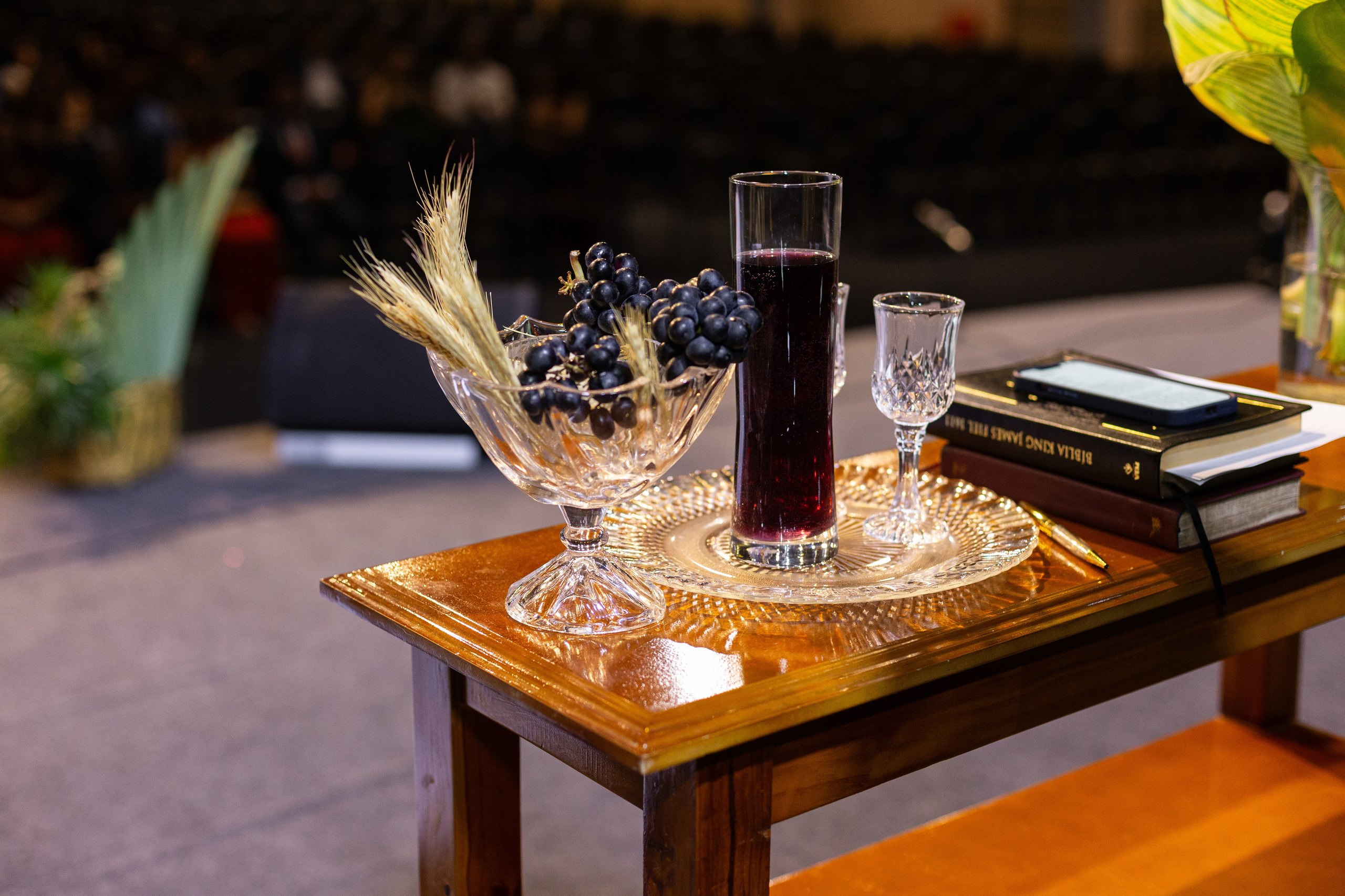 Amanda e Karmo. Bem-vindo ao Meu Mundo Fotográfico