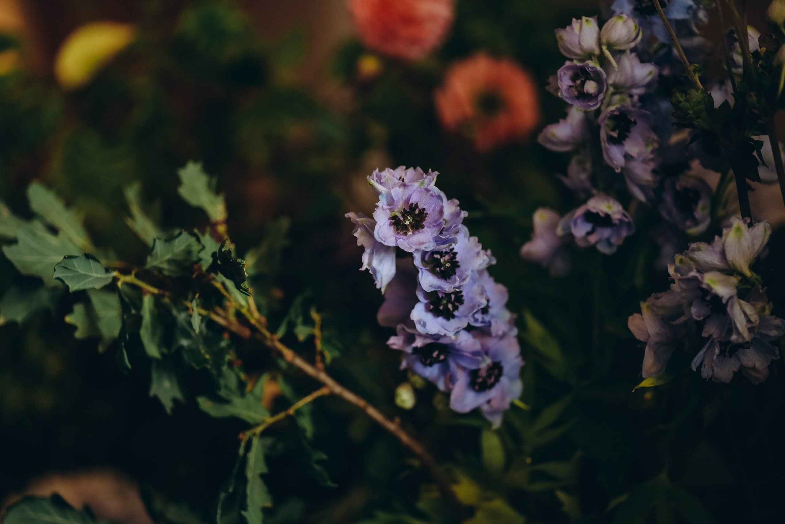 ---. Professional photographer in East Midlands
