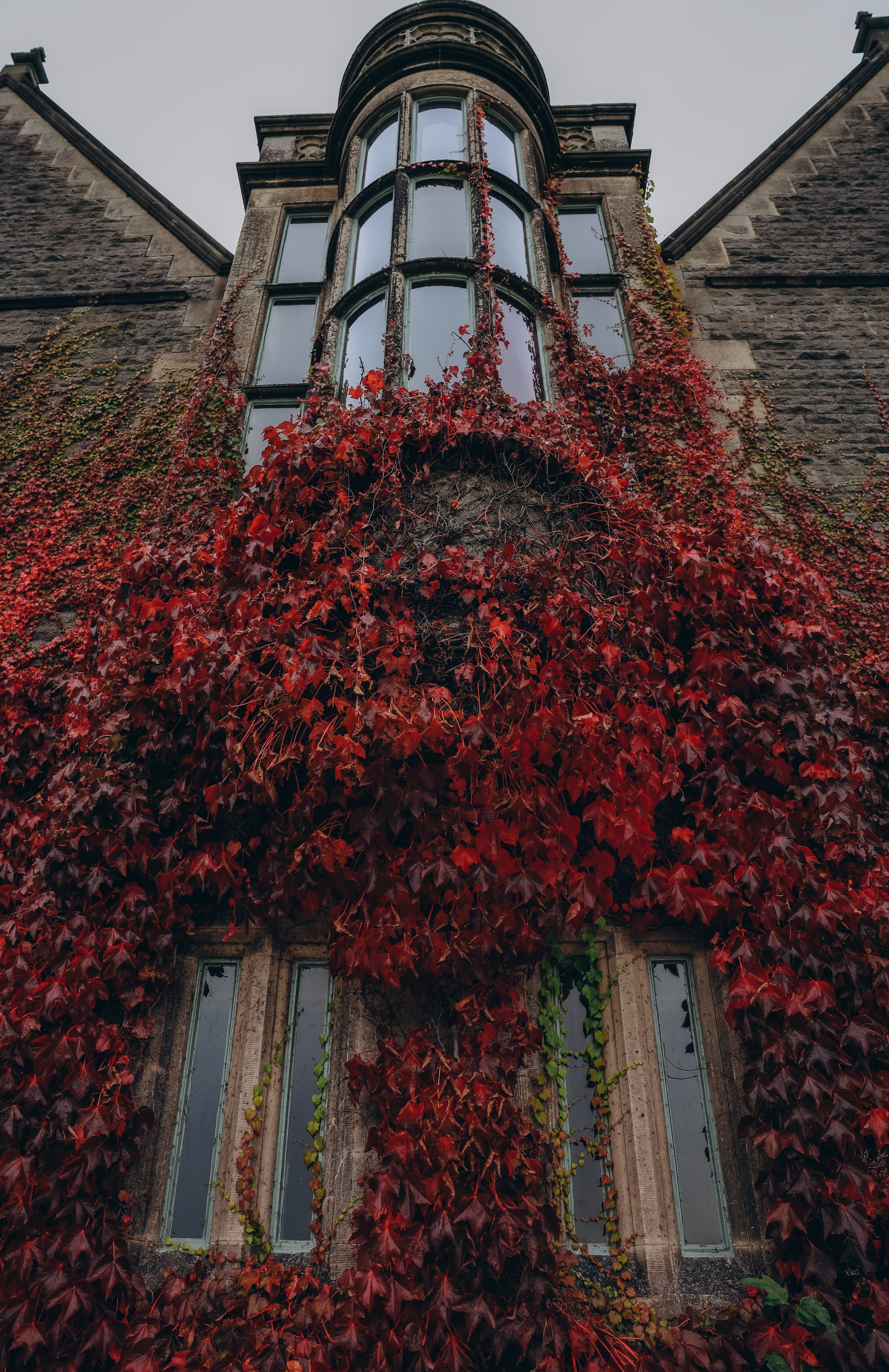 ---. Professional photographer in East Midlands