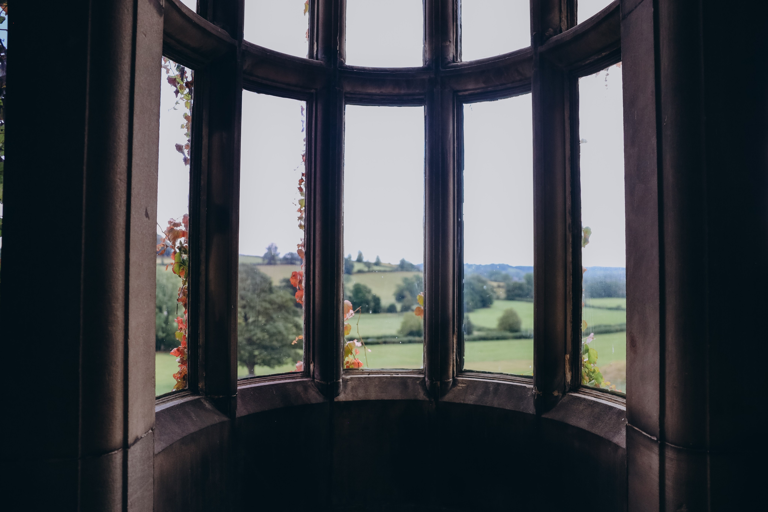---. Professional photographer in East Midlands