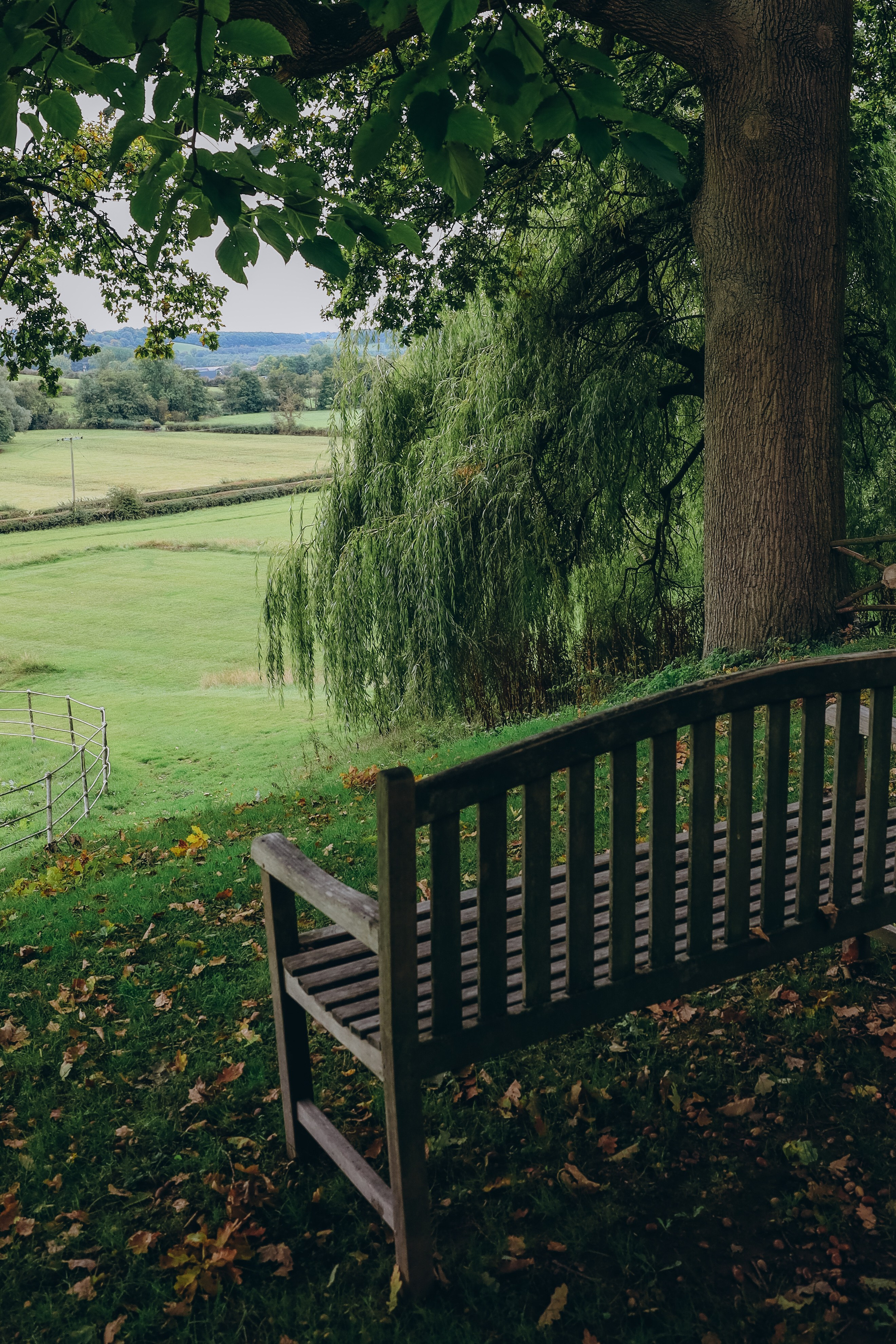 ---. Professional photographer in East Midlands
