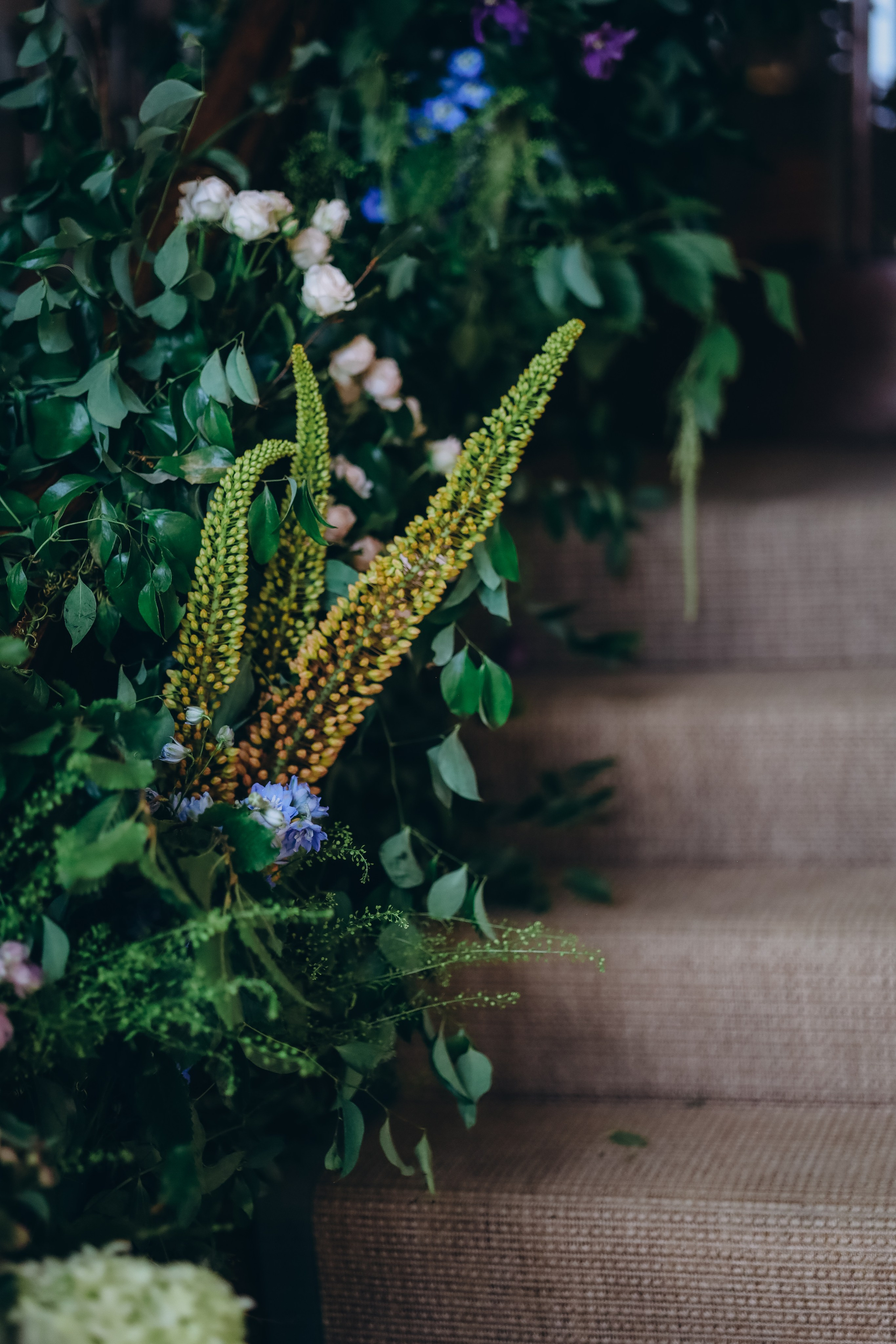 ---. Professional photographer in East Midlands
