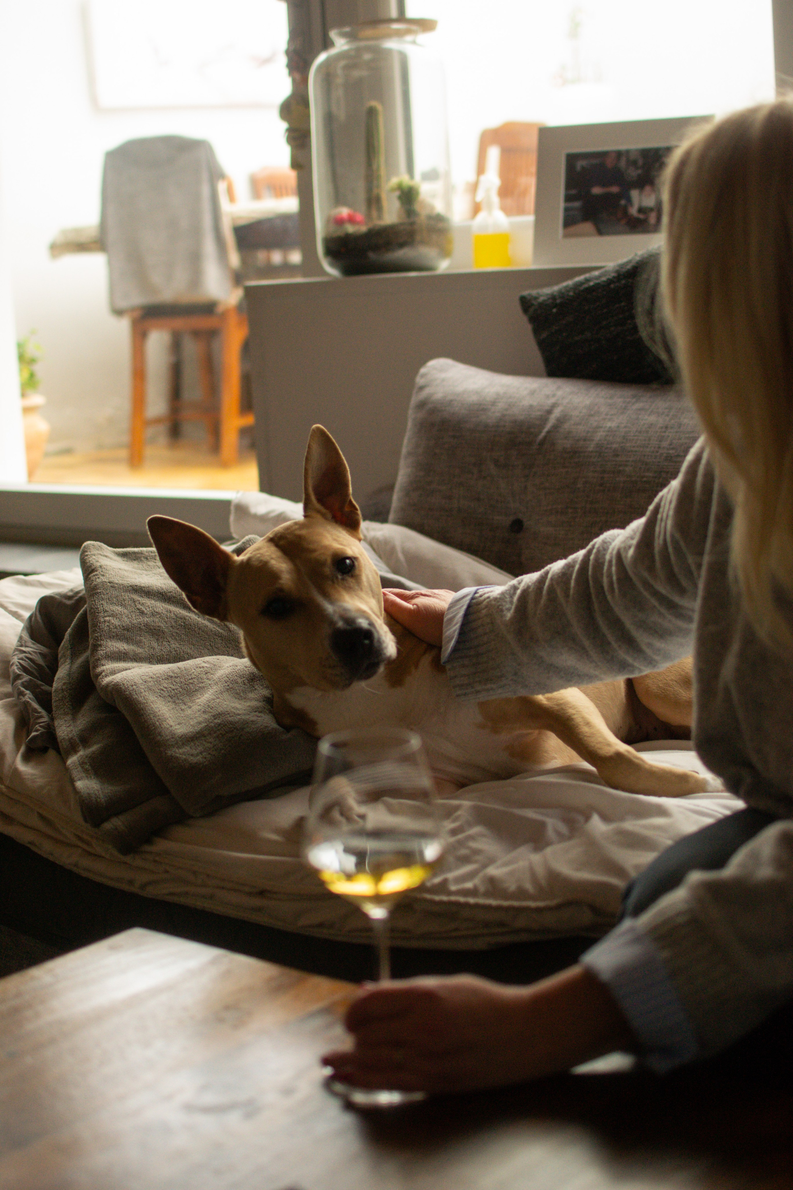 Elise et Leyka. Photographe animalier à Paris Anna Pereira