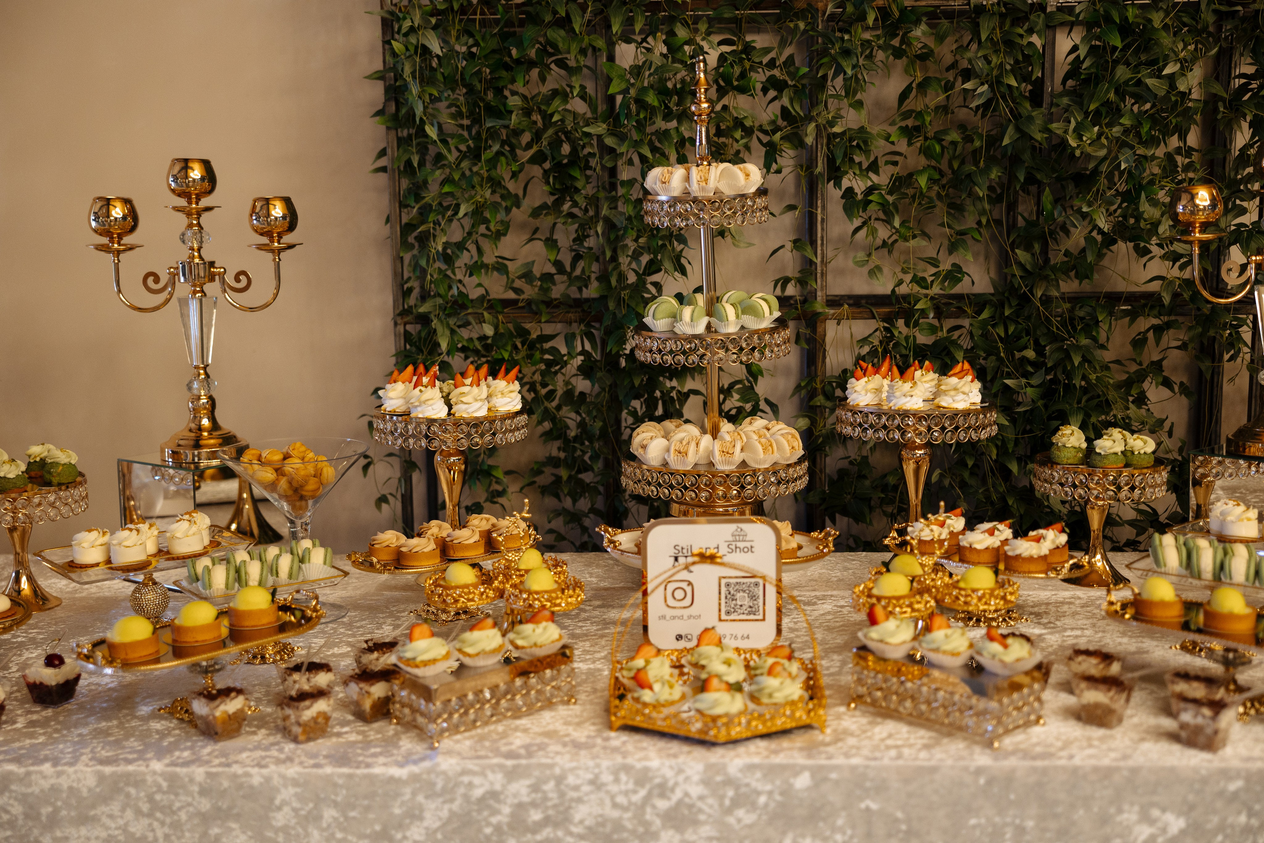 Diana Vlad. Ірина Терещук