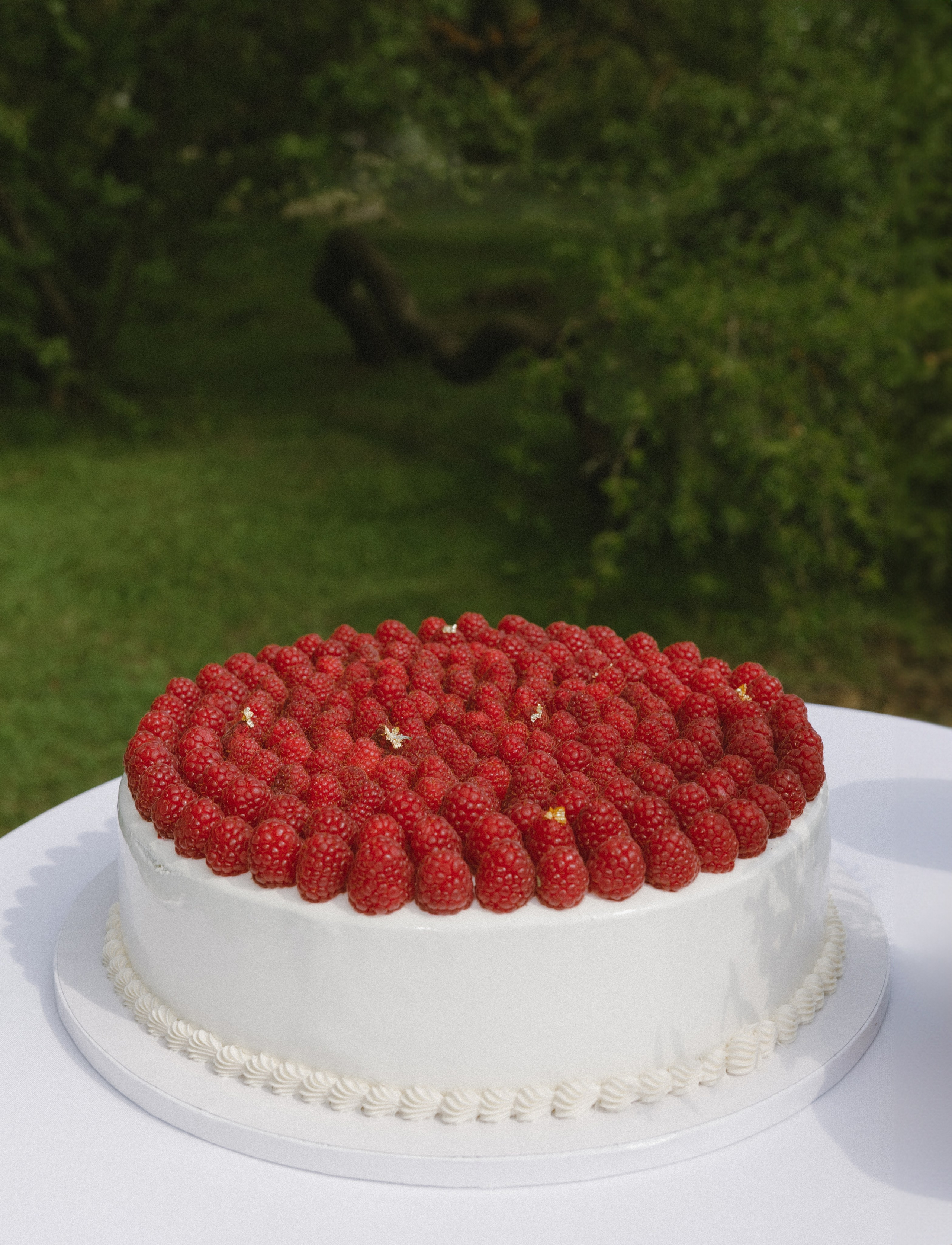 Ieva ir Martynas | Vestuvės Kauno botanikos sode. Vestuvių ir šeimų fotografė Lena Bondarenko / belove photo