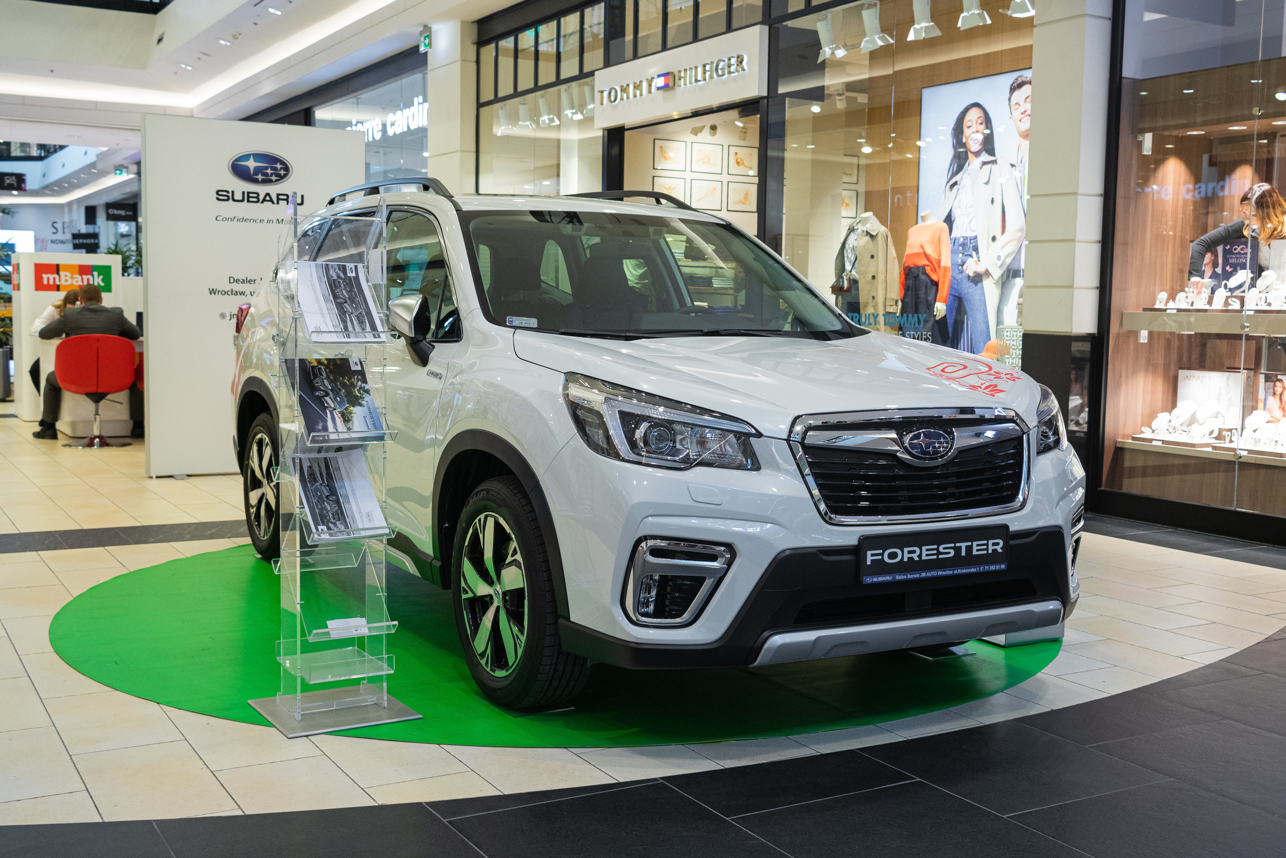 Wystawa aut, Magnolia park Wrocław. Dimitri Ilkov Photography — Capturing Life’s Moments in Edmonton, Cana