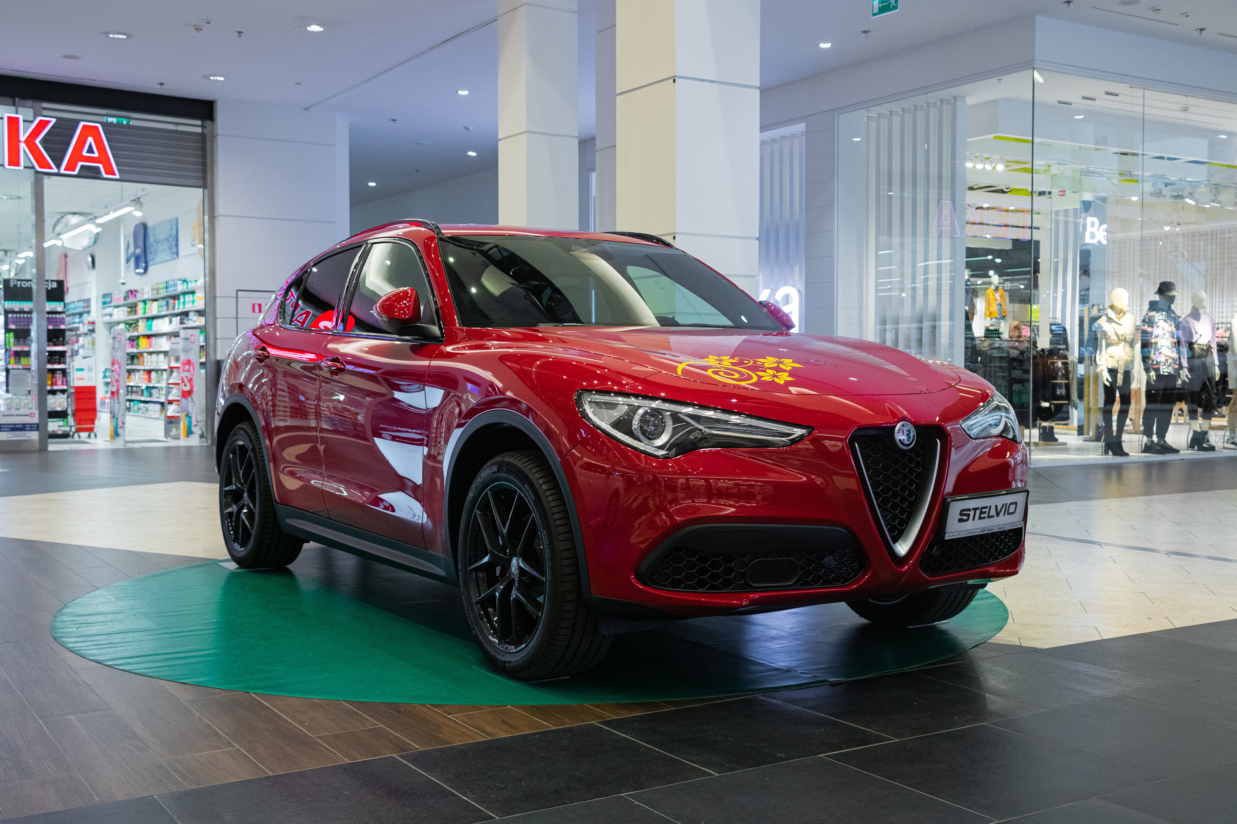 Wystawa aut, Magnolia park Wrocław. Dimitri Ilkov Photography — Capturing Life’s Moments in Edmonton, Cana