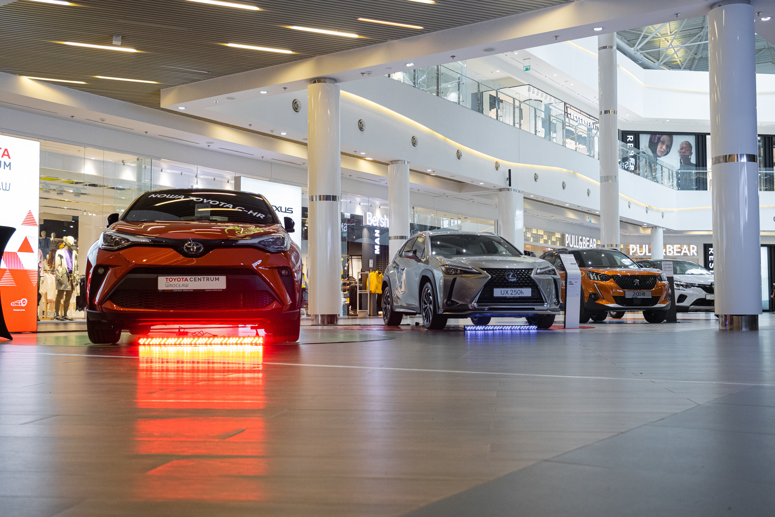 Wystawa aut, Magnolia park Wrocław. Dimitri Ilkov Photography — Capturing Life’s Moments in Edmonton, Cana