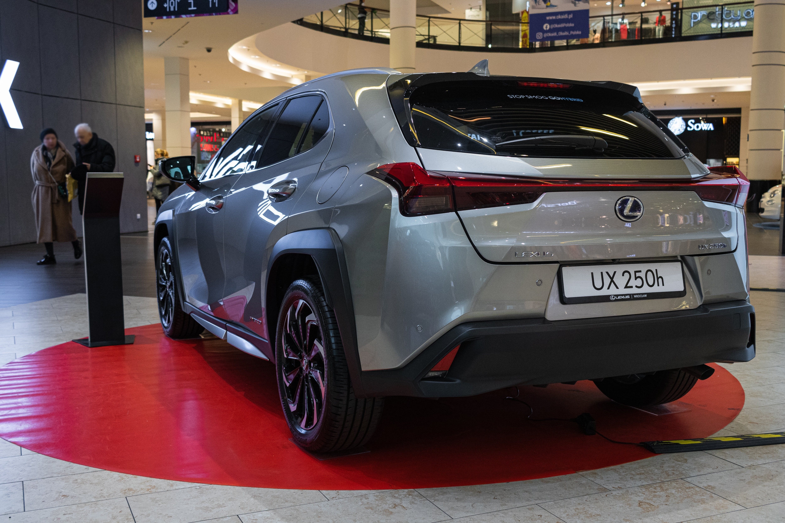 Wystawa aut, Magnolia park Wrocław. Dimitri Ilkov Photography — Capturing Life’s Moments in Edmonton, Cana