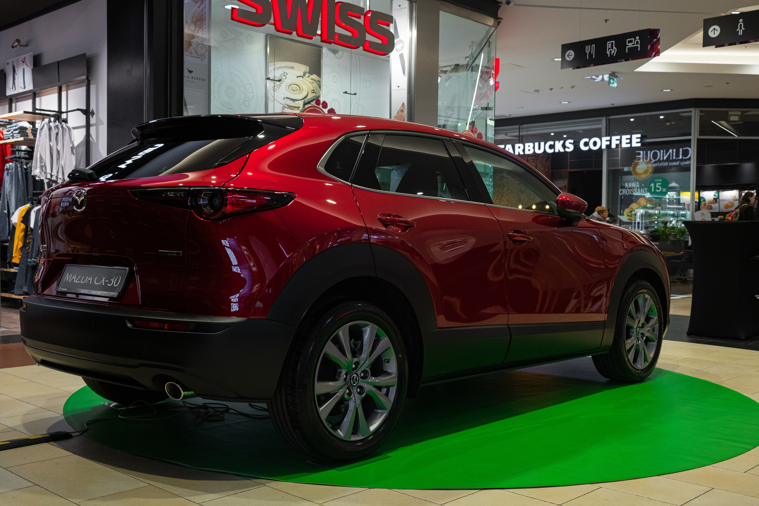 Wystawa aut, Magnolia park Wrocław. Dimitri Ilkov Photography — Capturing Life’s Moments in Edmonton, Cana