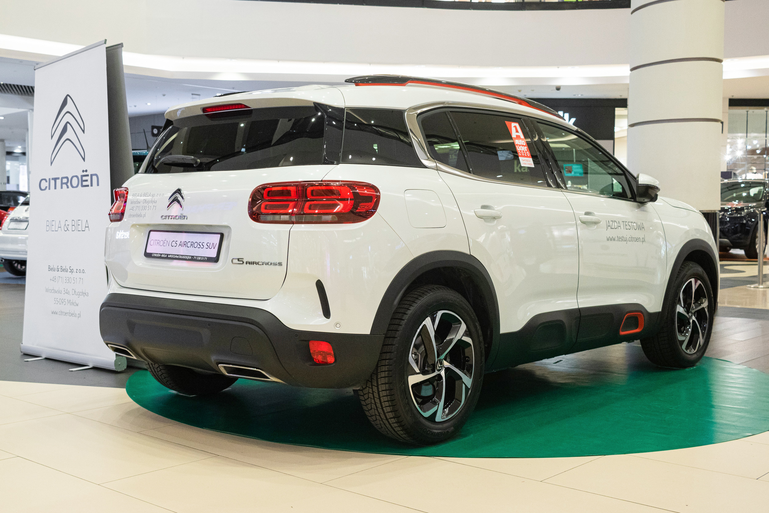 Wystawa aut, Magnolia park Wrocław. Dimitri Ilkov Photography — Capturing Life’s Moments in Edmonton, Cana