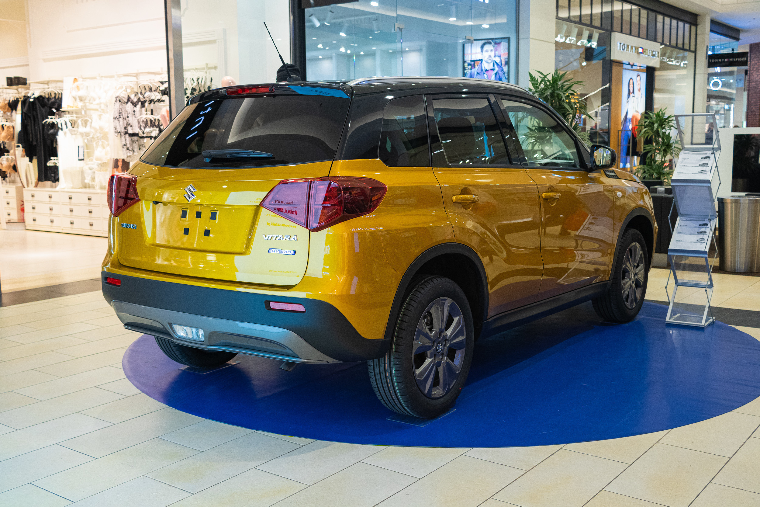 Wystawa aut, Magnolia park Wrocław. Dimitri Ilkov Photography — Capturing Life’s Moments in Edmonton, Cana