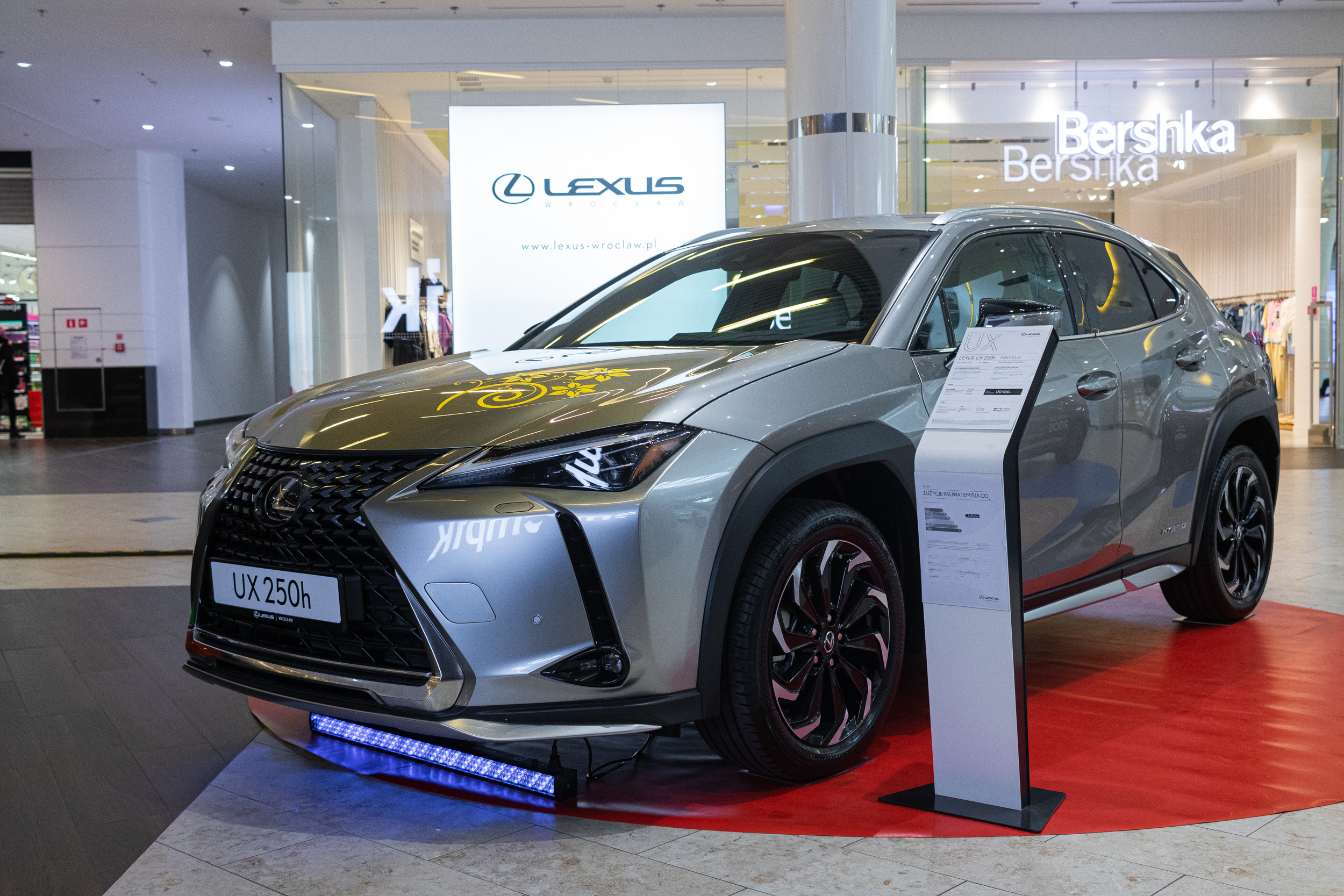 Wystawa aut, Magnolia park Wrocław. Dimitri Ilkov Photography — Capturing Life’s Moments in Edmonton, Cana