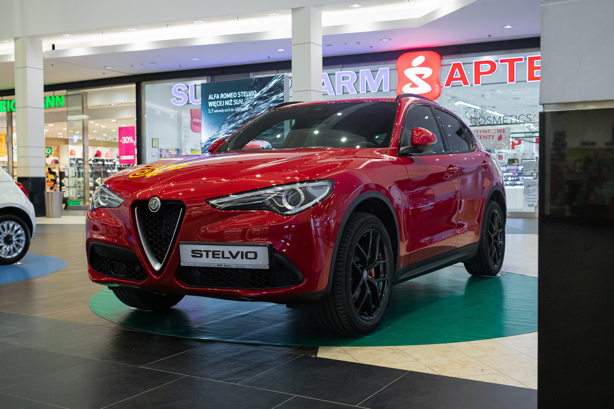 Wystawa aut, Magnolia park Wrocław. Dimitri Ilkov Photography — Capturing Life’s Moments in Edmonton, Cana