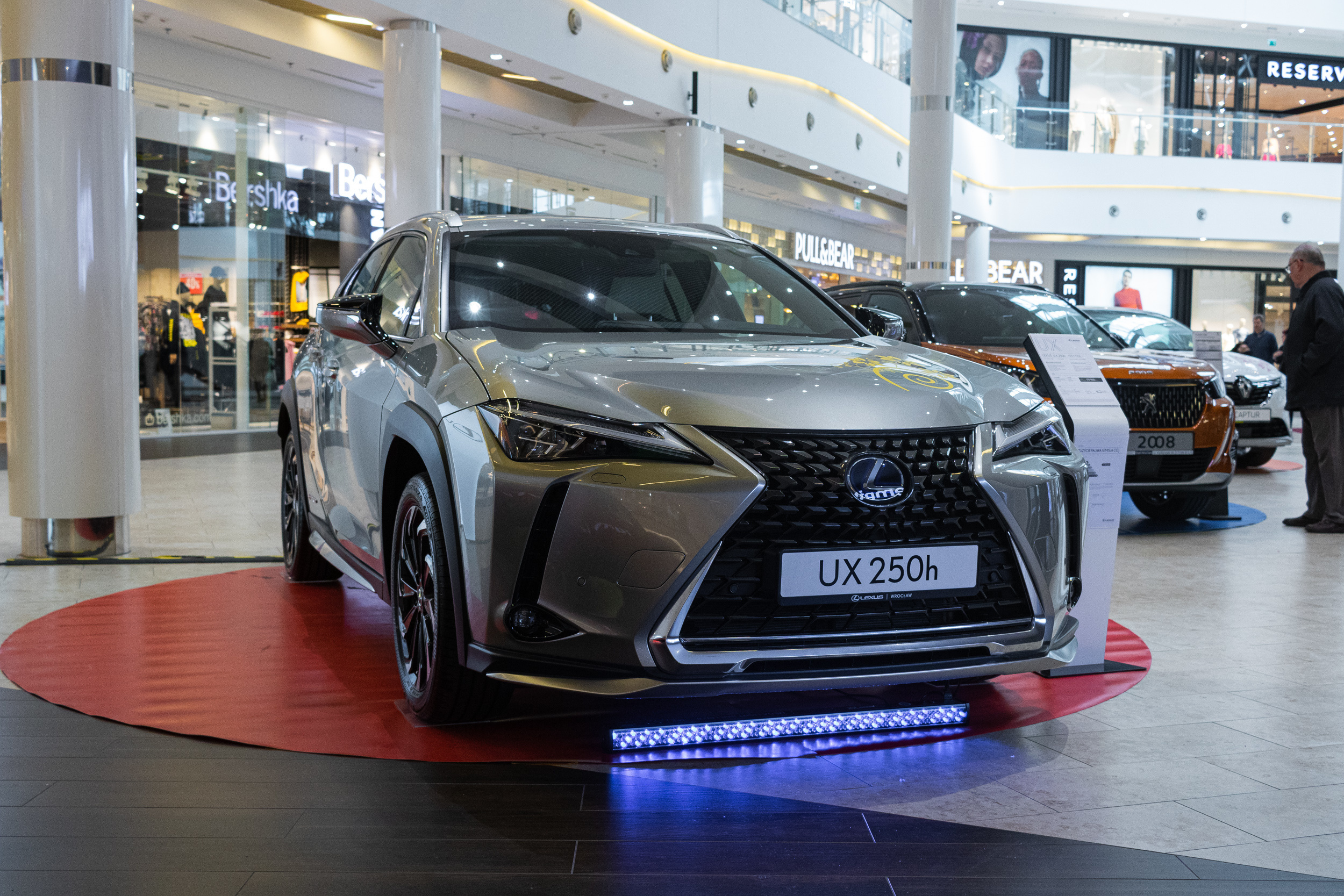 Wystawa aut, Magnolia park Wrocław. Dimitri Ilkov Photography — Capturing Life’s Moments in Edmonton, Cana