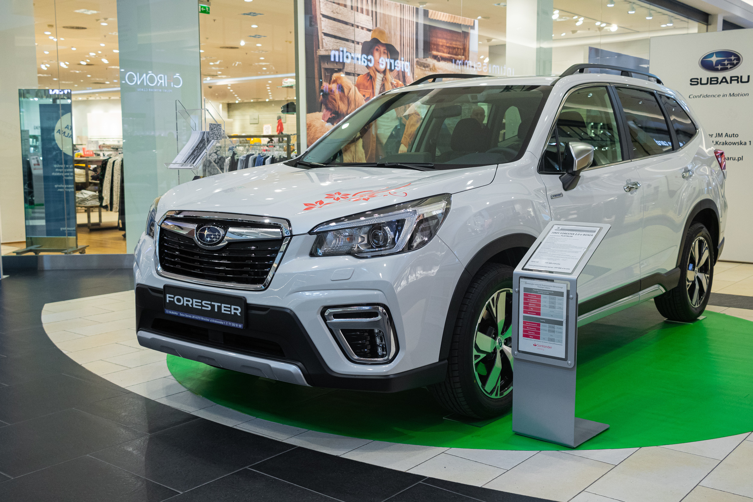 Wystawa aut, Magnolia park Wrocław. Dimitri Ilkov Photography — Capturing Life’s Moments in Edmonton, Cana