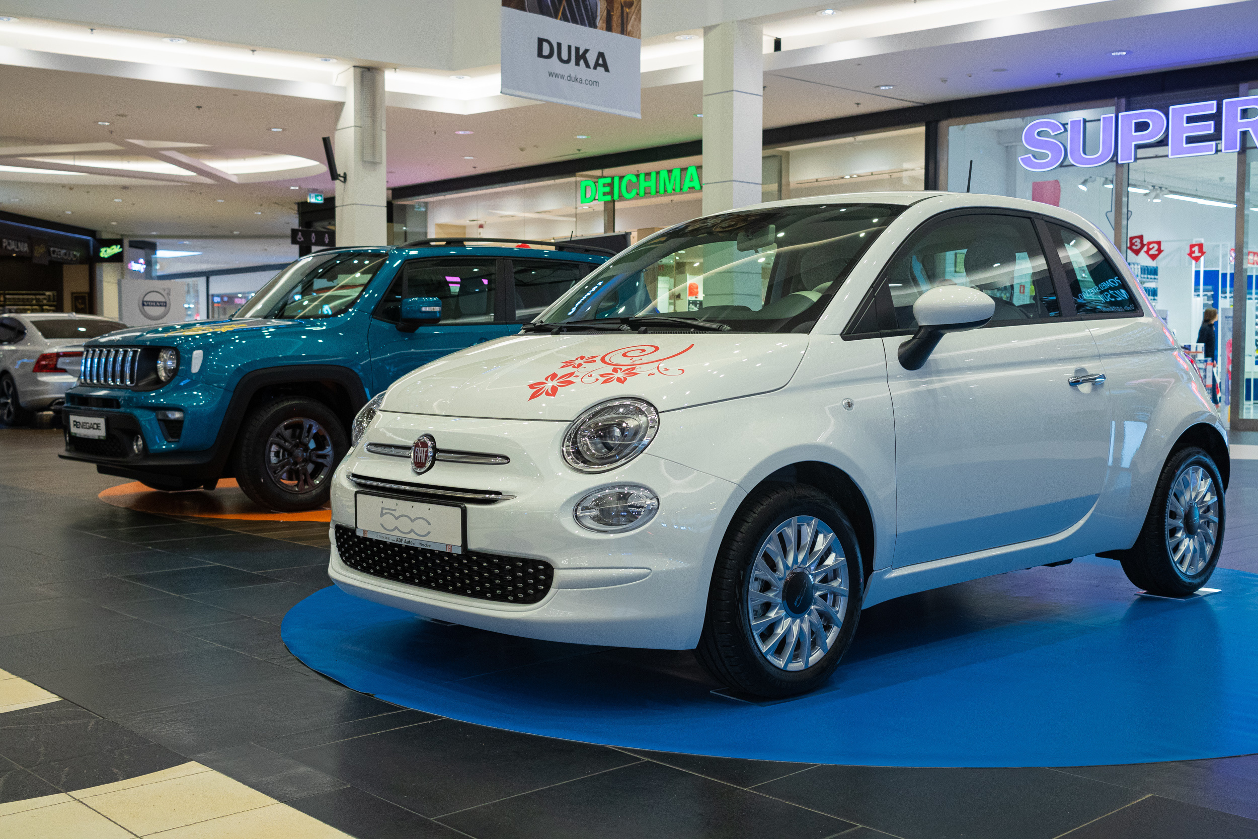 Wystawa aut, Magnolia park Wrocław. Dimitri Ilkov Photography — Capturing Life’s Moments in Edmonton, Cana