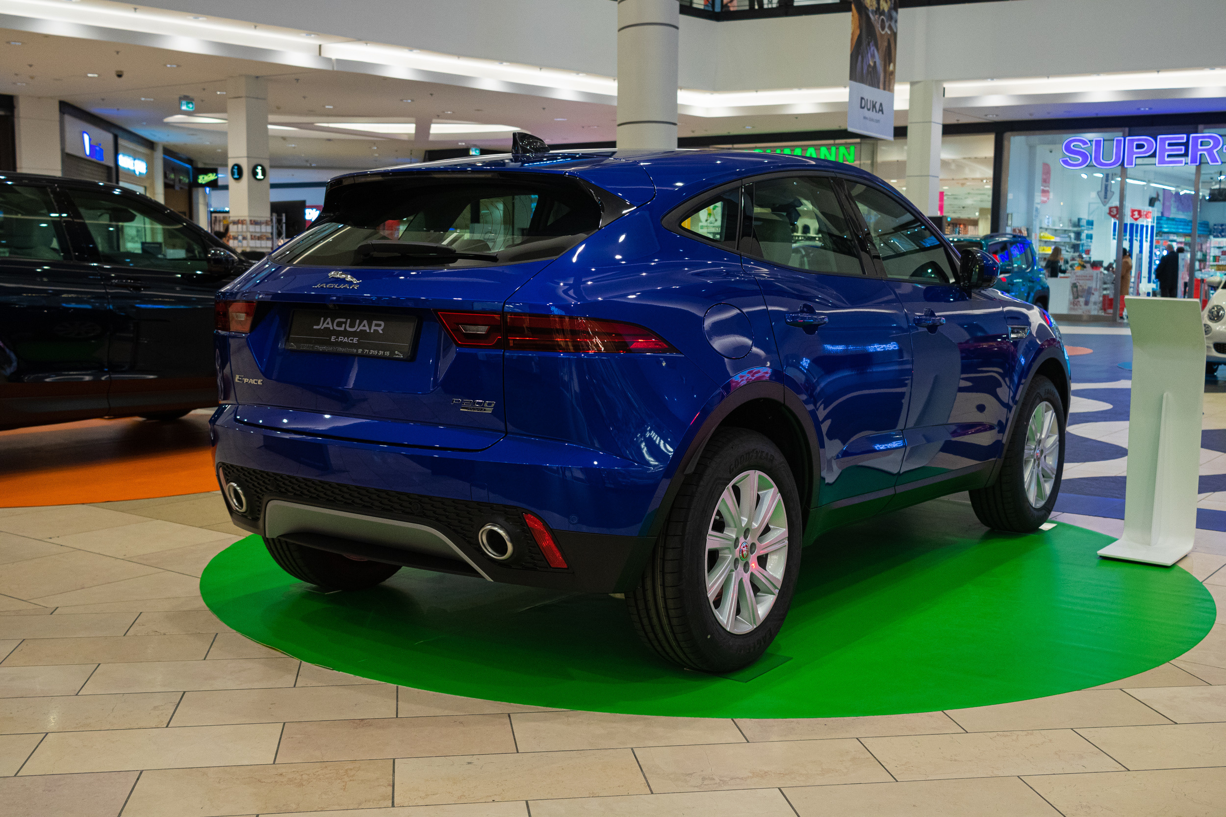 Wystawa aut, Magnolia park Wrocław. Dimitri Ilkov Photography — Capturing Life’s Moments in Edmonton, Cana