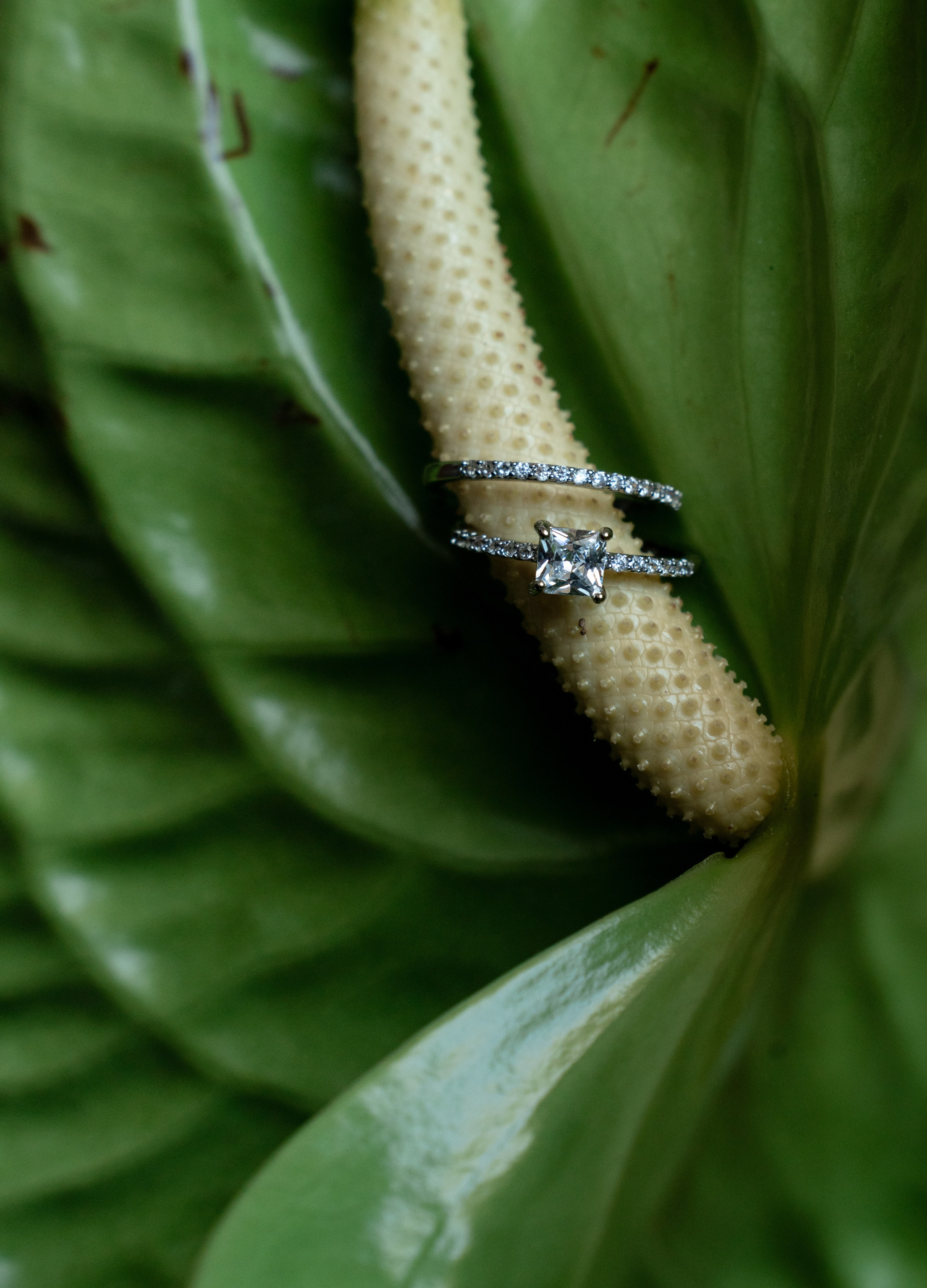 Destination Wedding in Villa Arvedi | Simon & Dari