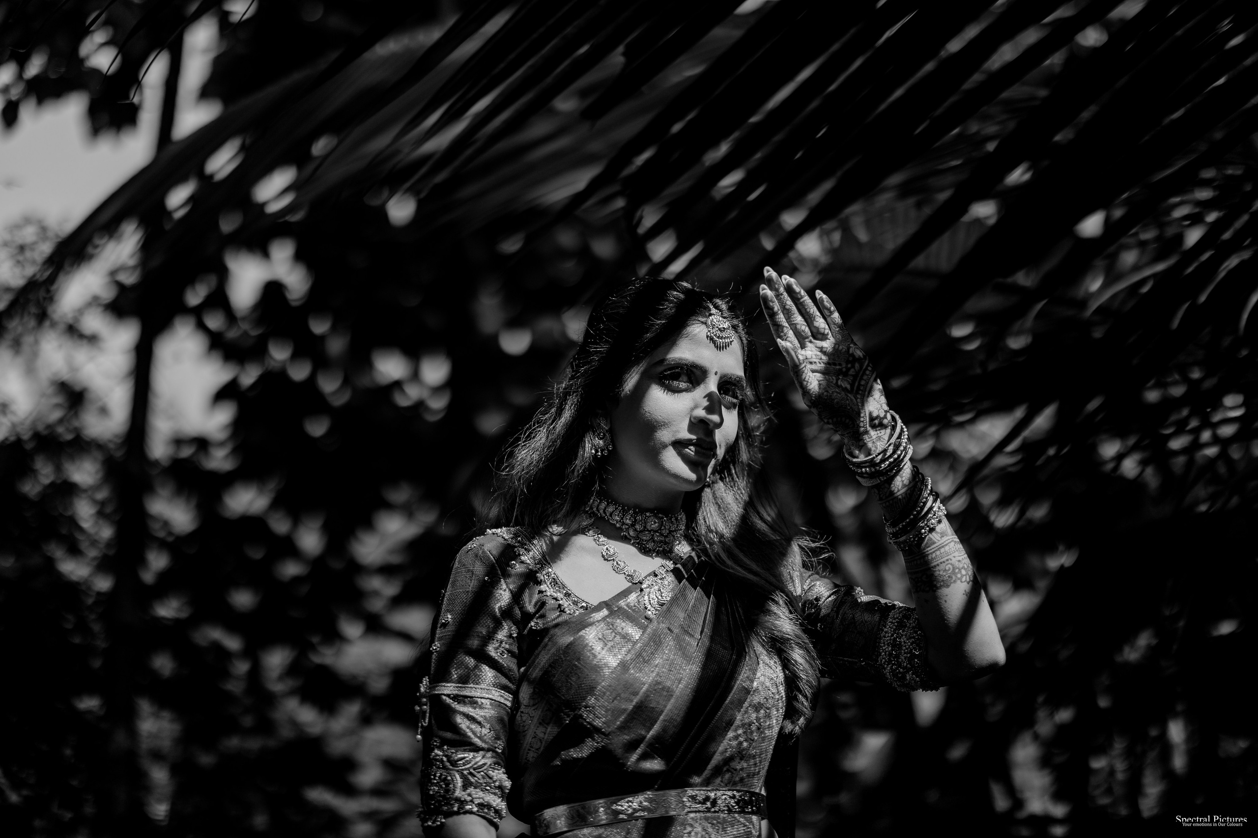 “Shivani & Ashish | A Love Meant to Be”