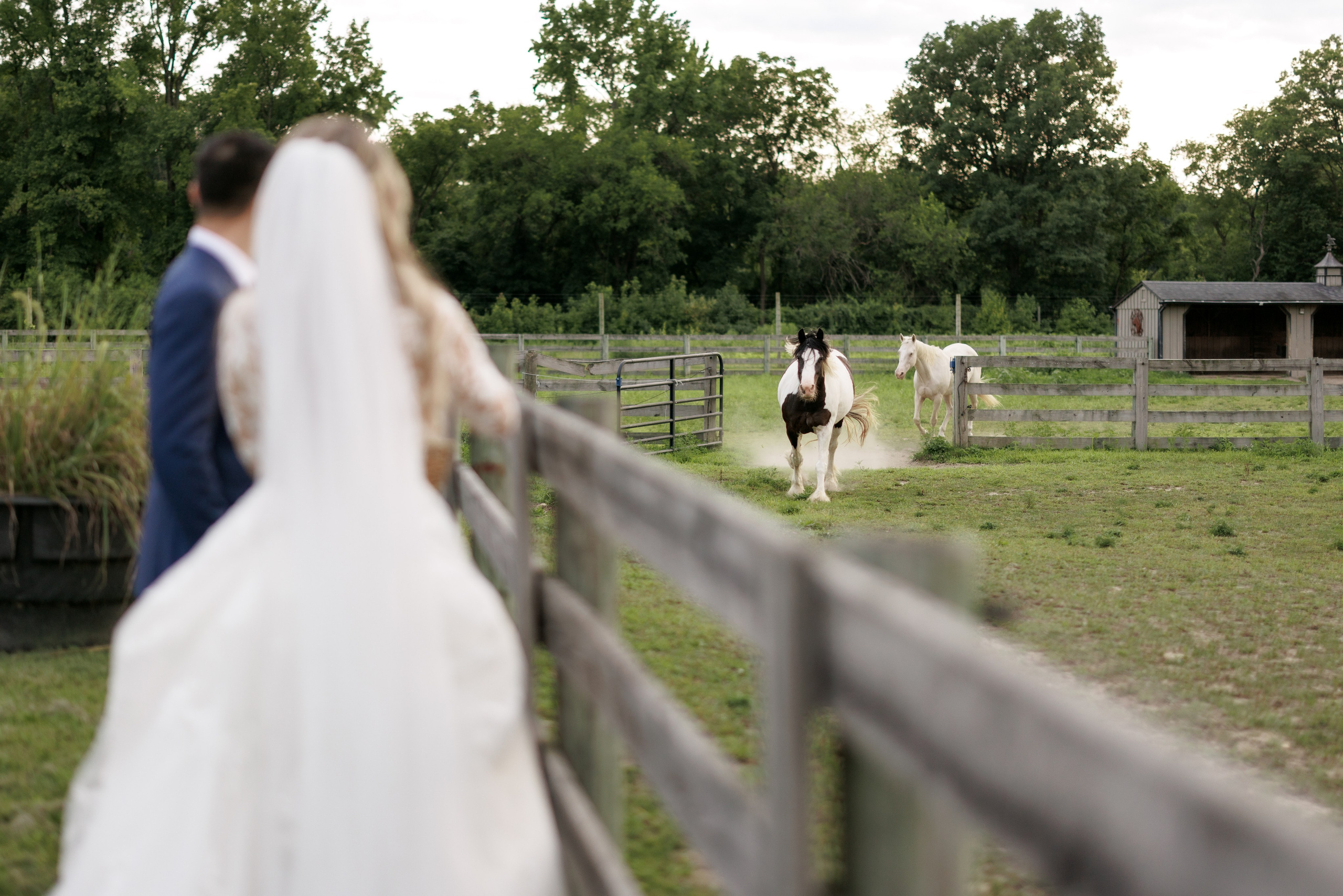 Agata & Eddie. Wedding Photo & Video