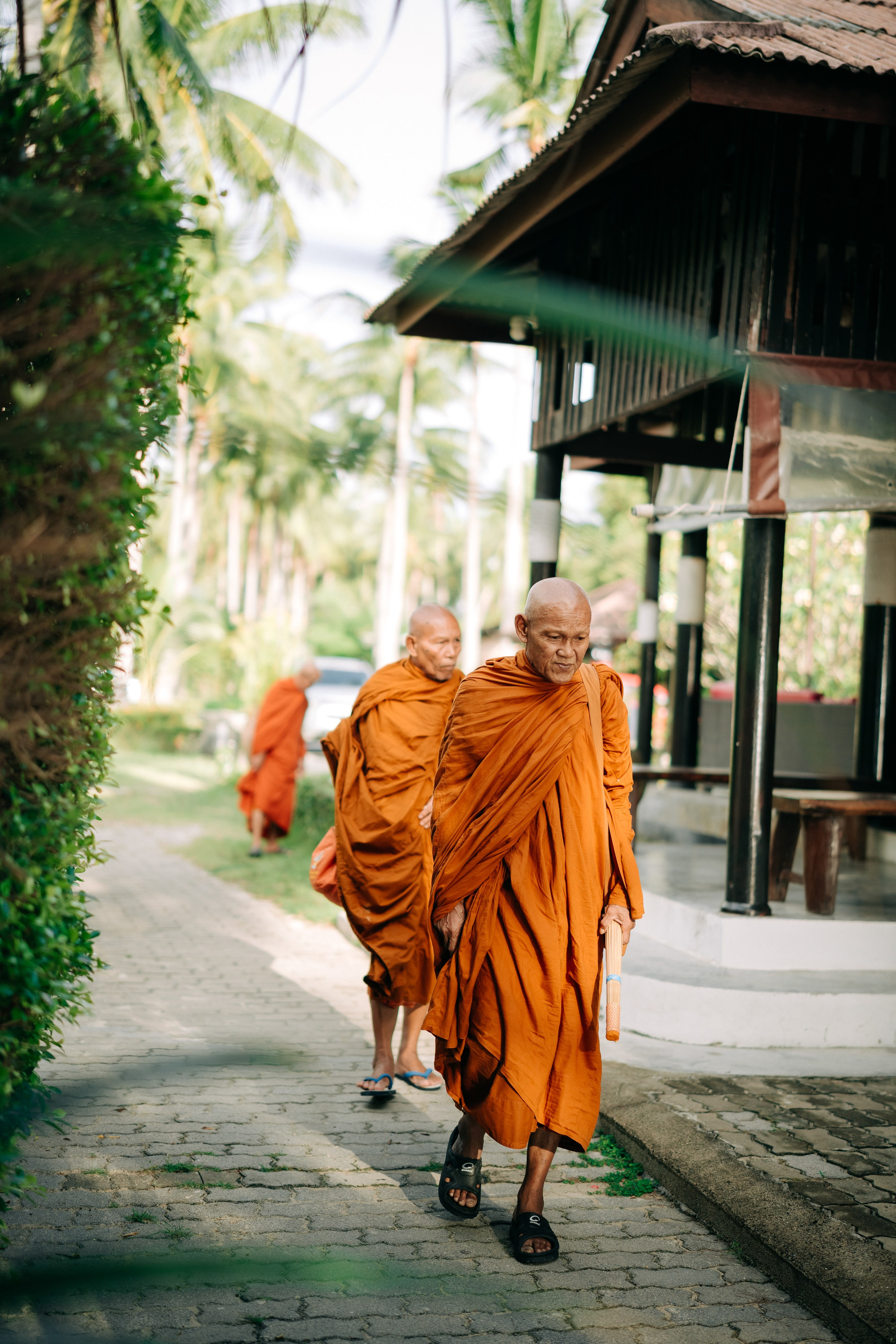 Grace & Martin 03.11.2024. Wedding on Koh Samui, Thailand