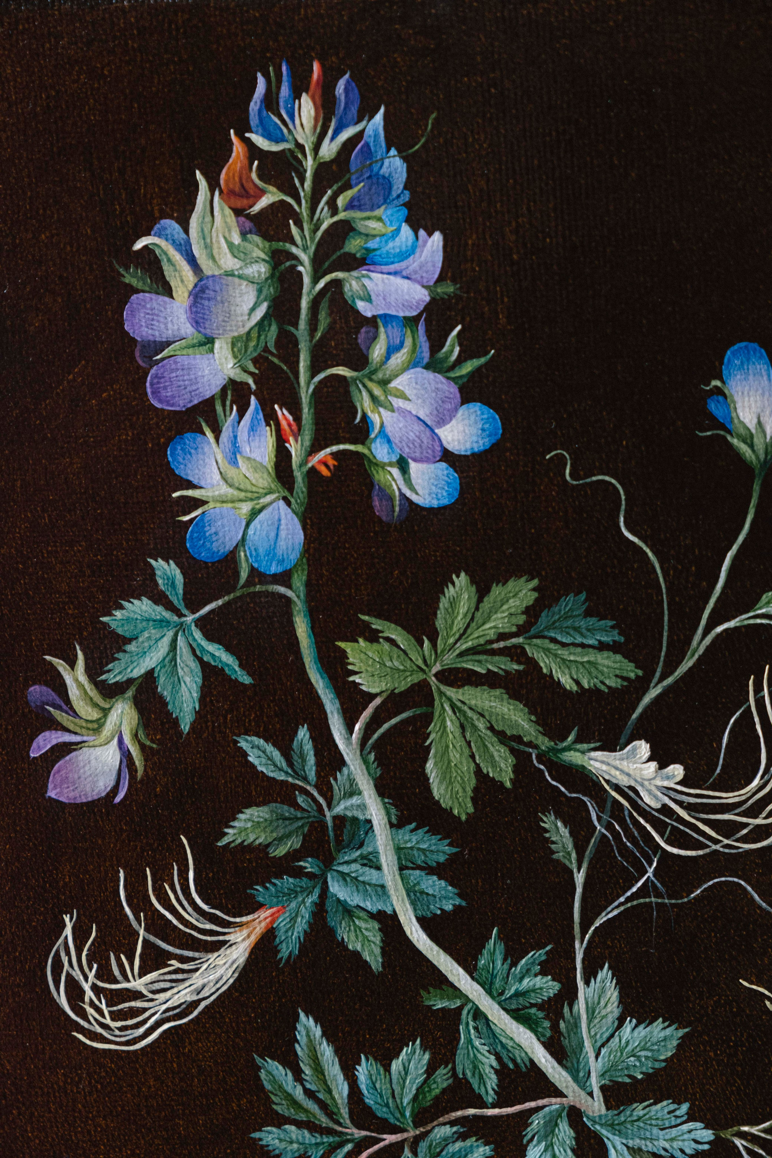 Botanical Etude No. 1. ELEN BEZHEN