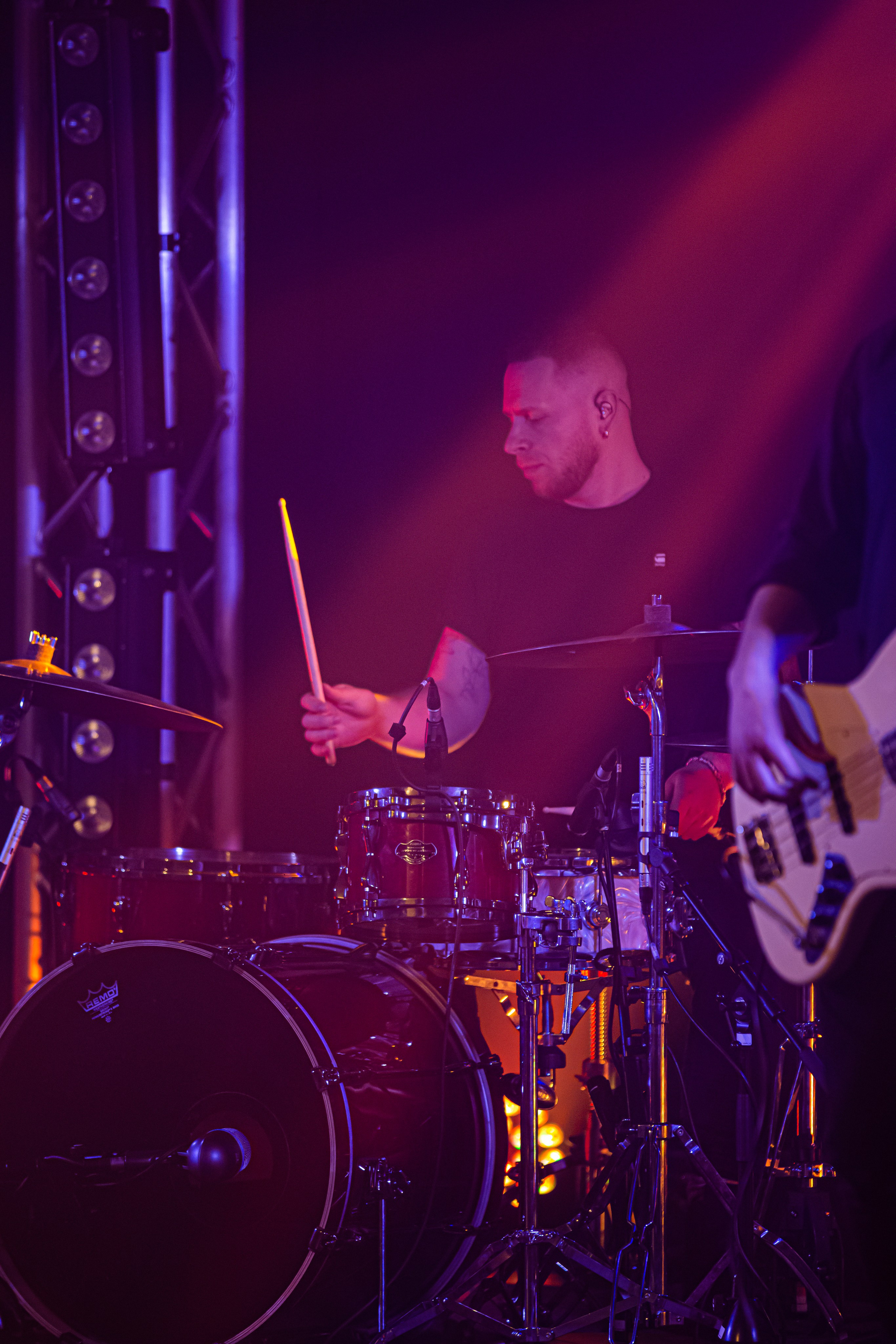 Ptashkin. Репортажний фотограф/анімаліст КИЇВ