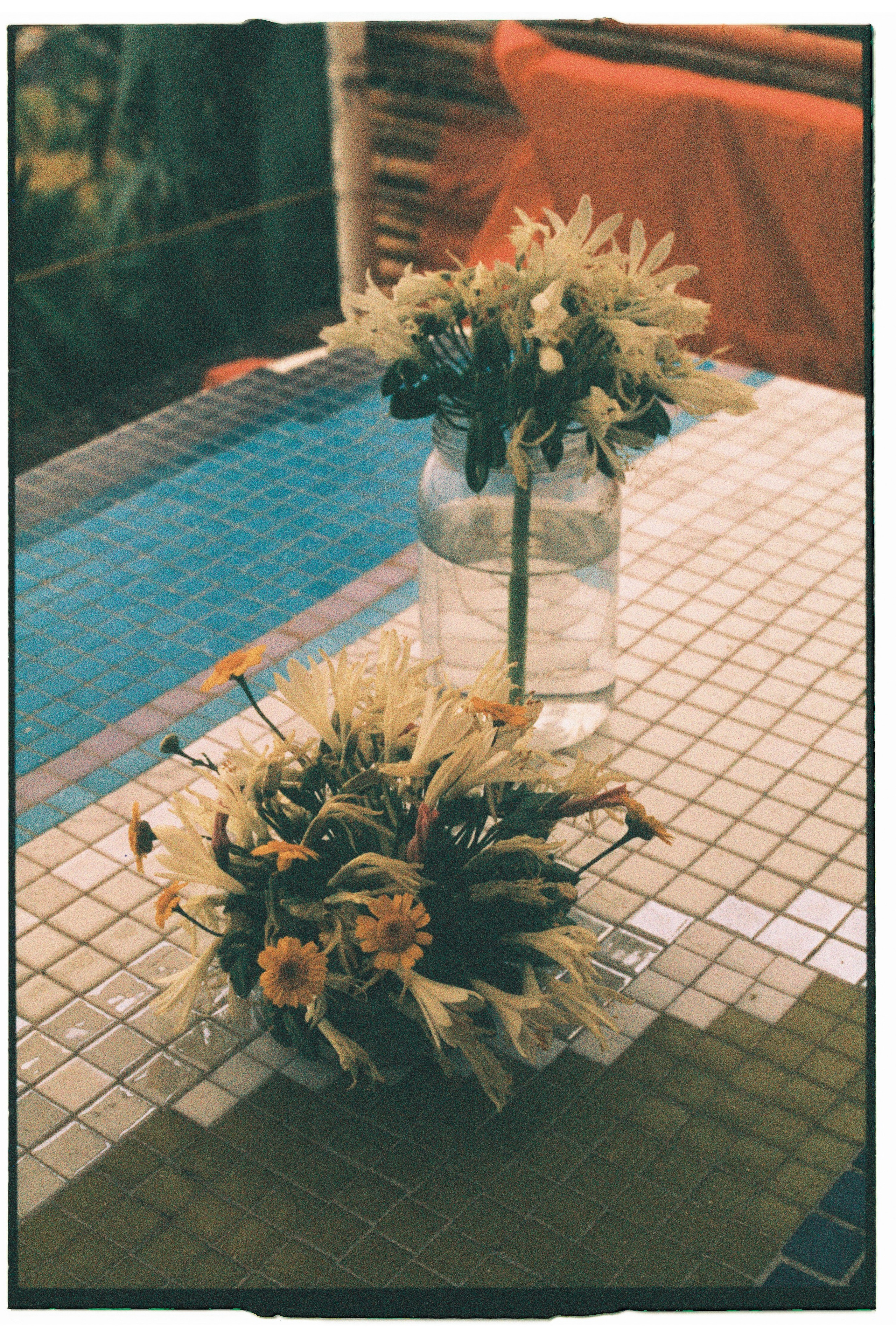 Madeira on film. Portrait photographer in Madeira — Marina Shtukina