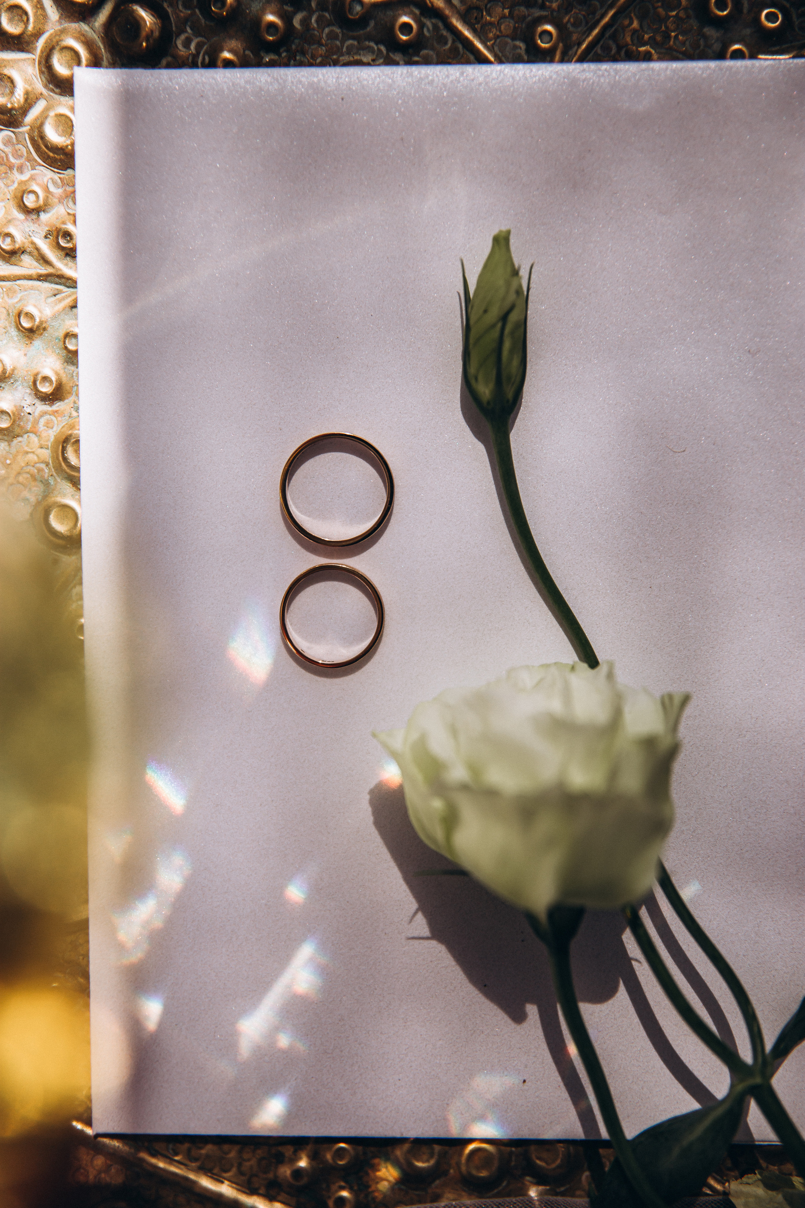 Claudia y Enrique. Fotógrafa familiar Santiago y Chile Anna Almazova