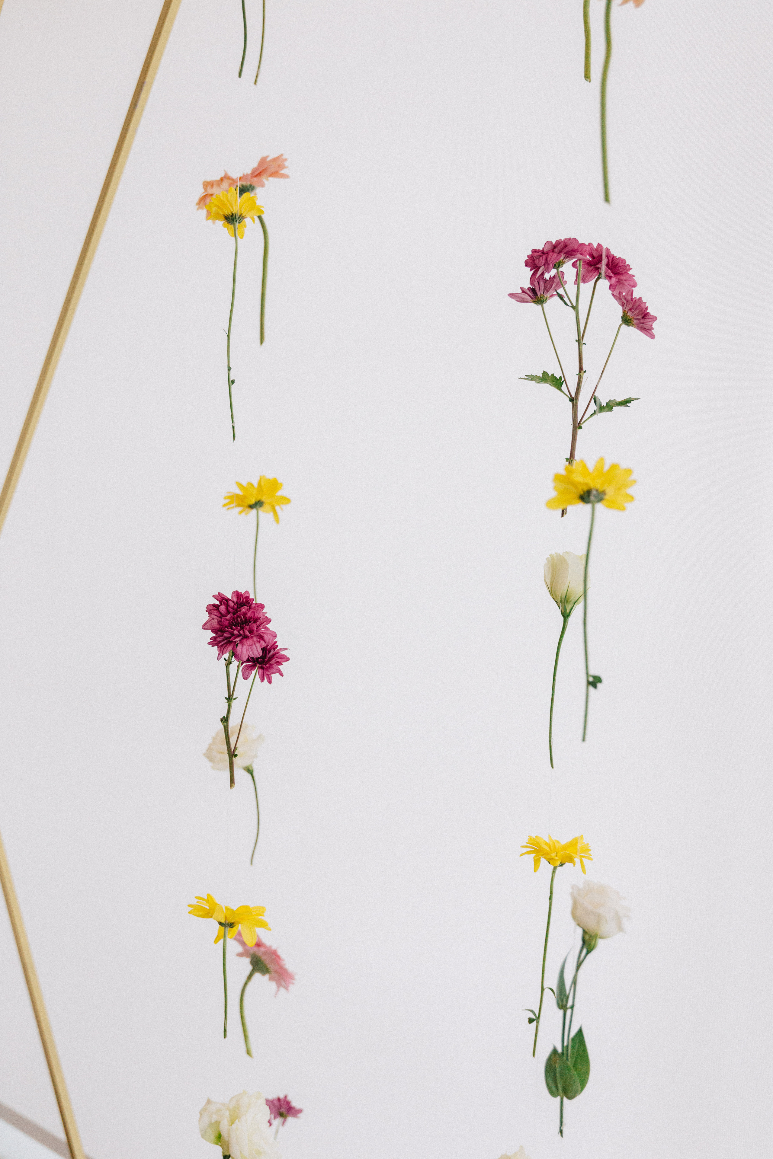 Civil de Claudia y Enrique, Viña del Mar. Fotógrafa familiar Santiago y Chile Anna Almazova