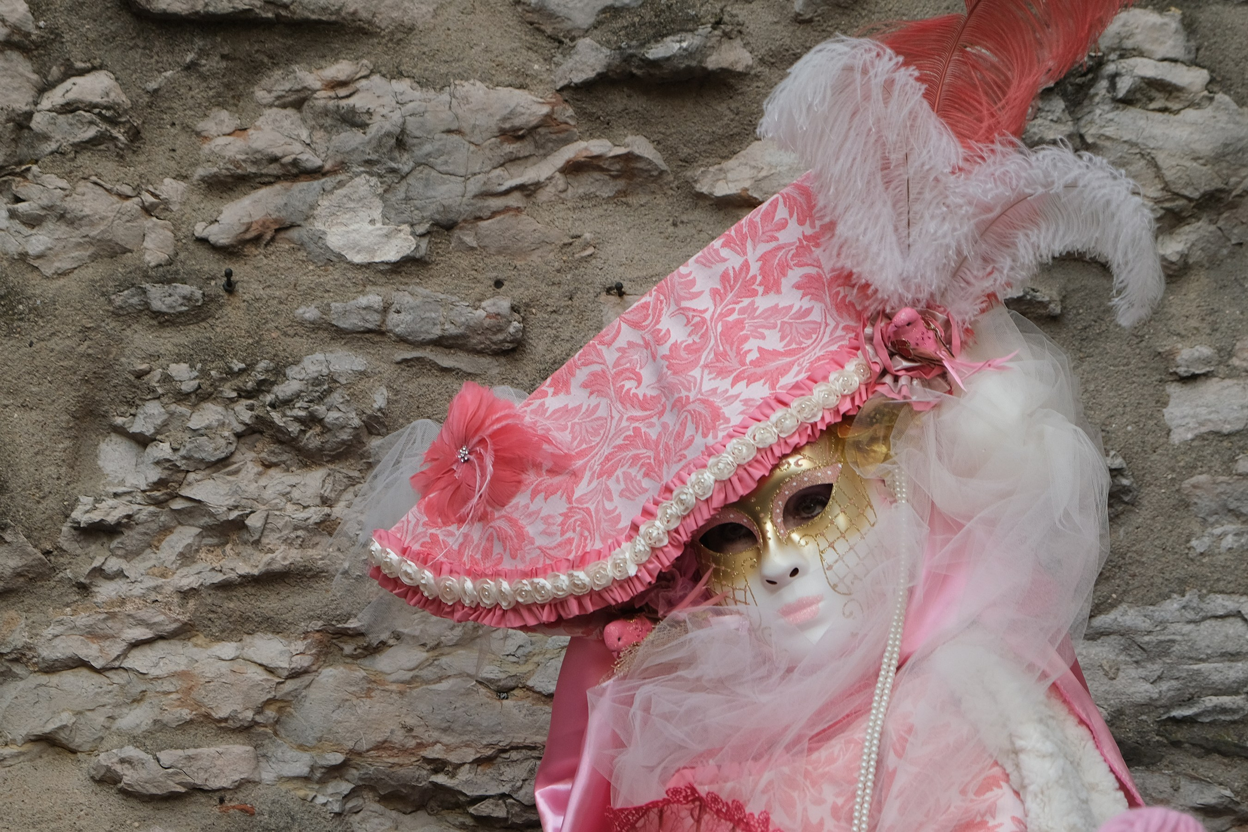 Венецианский карнавал в Германии. Elina Reisen. Туристическое агентство в Аугсбурге