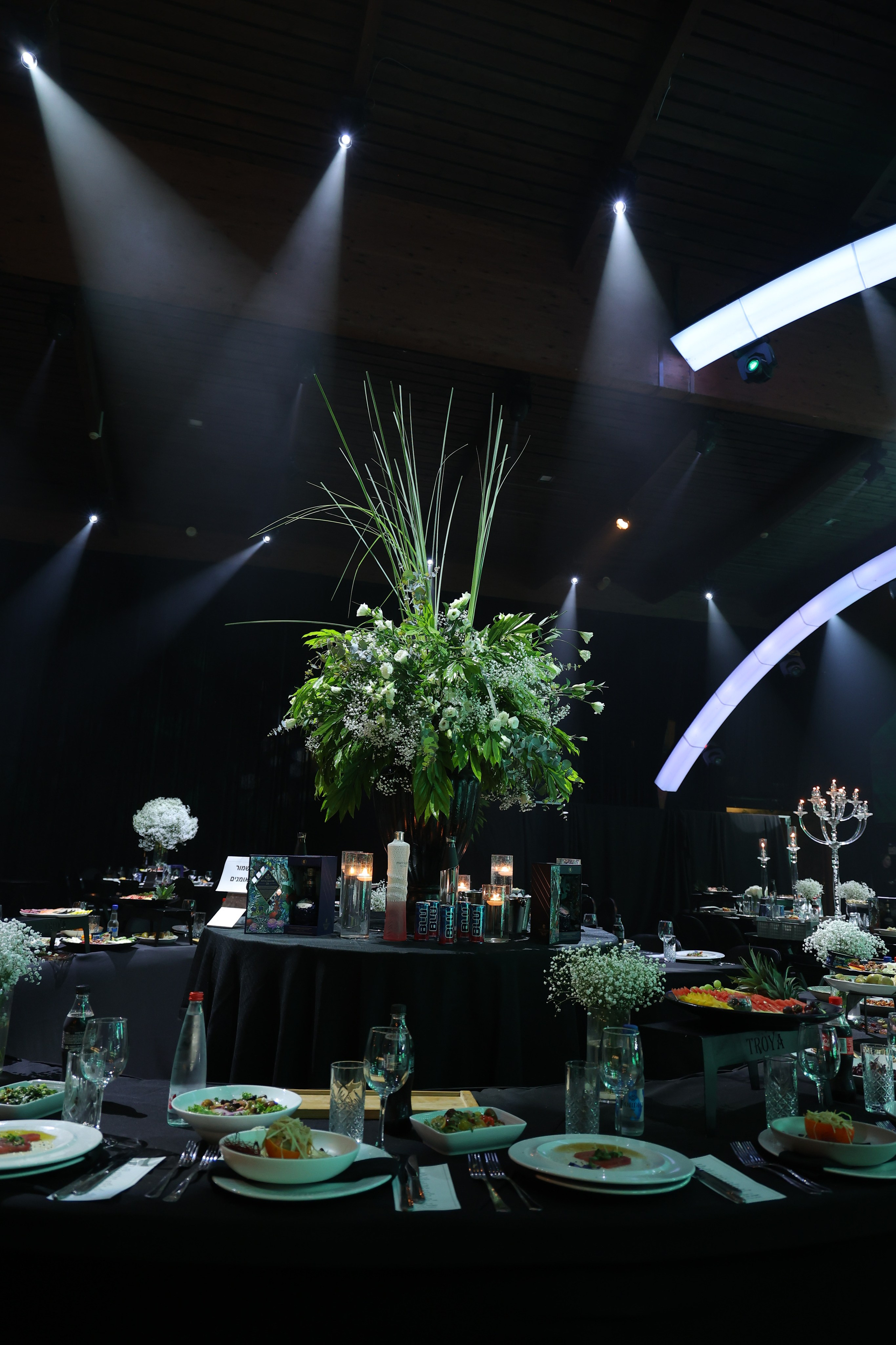 טרויה. Wedding and events photographers Studio Shalom