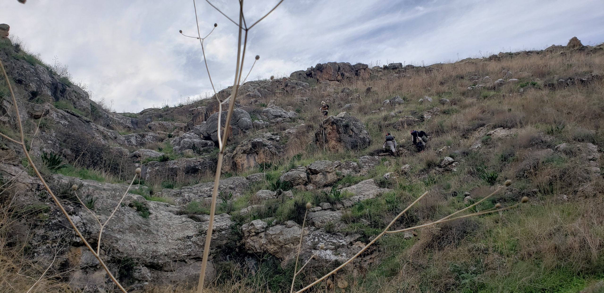 Реконструкционный поход гора Гильбоа. КРиС «Нортман»