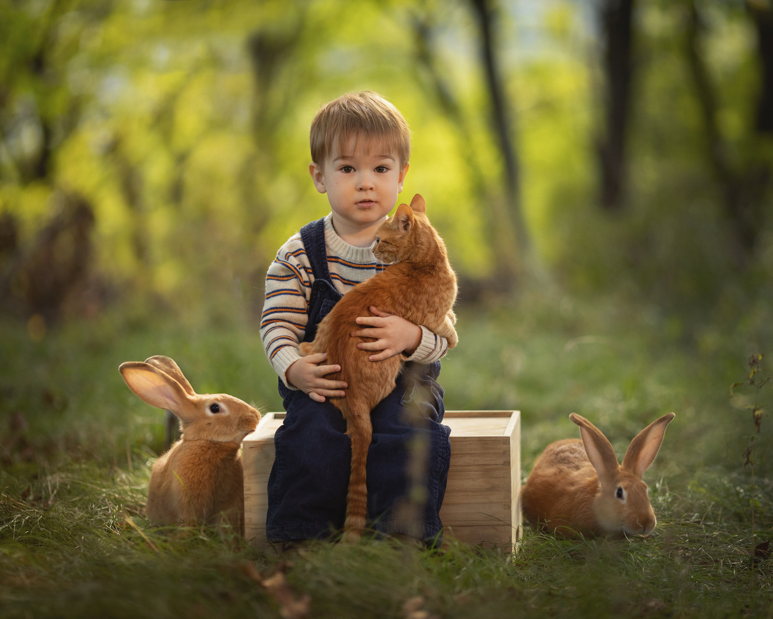 Copii. Fotograf de familie la Ungheni și Reggio-Emilia, Alessia Slivca