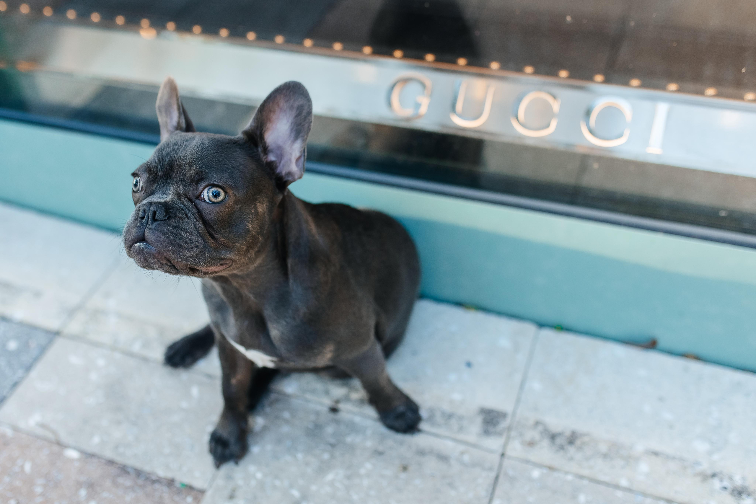 Design District 2. Family and Event photographer in Homestead and Miami areas of Florida