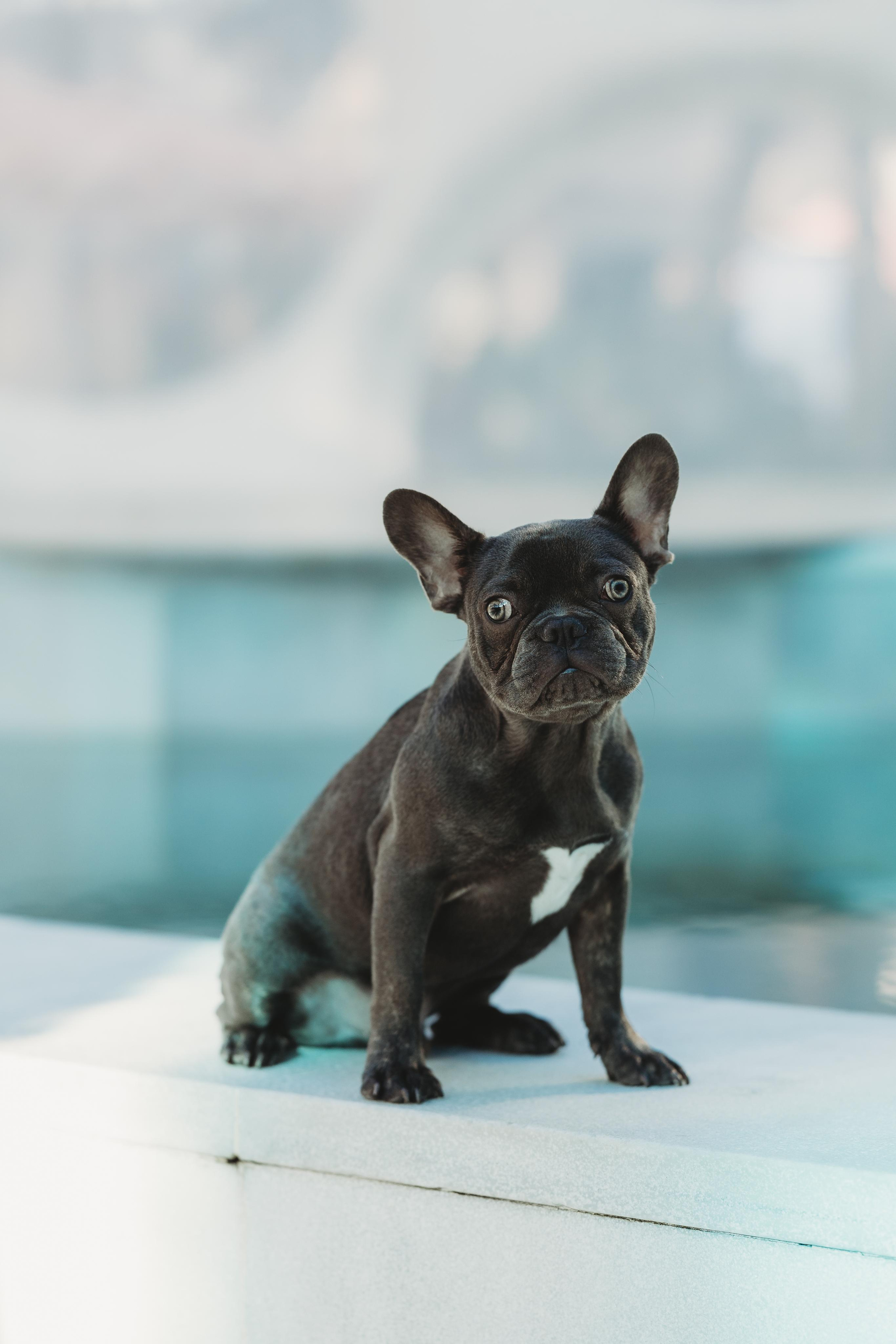 Design District 2. Family and Event photographer in Homestead and Miami areas of Florida