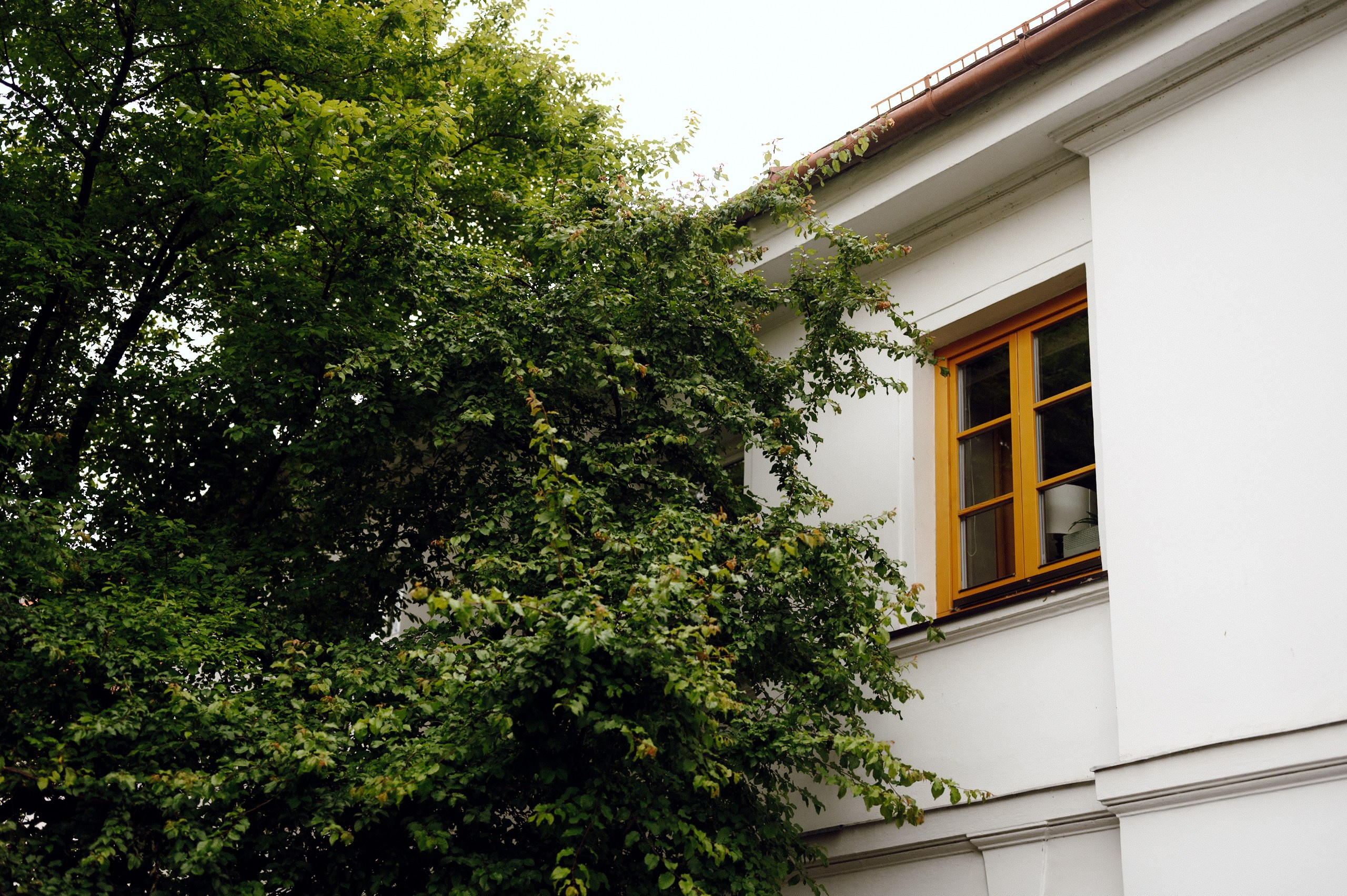 Ania & Emil. Ślubny fotograf Poznań | Oliwia Makara