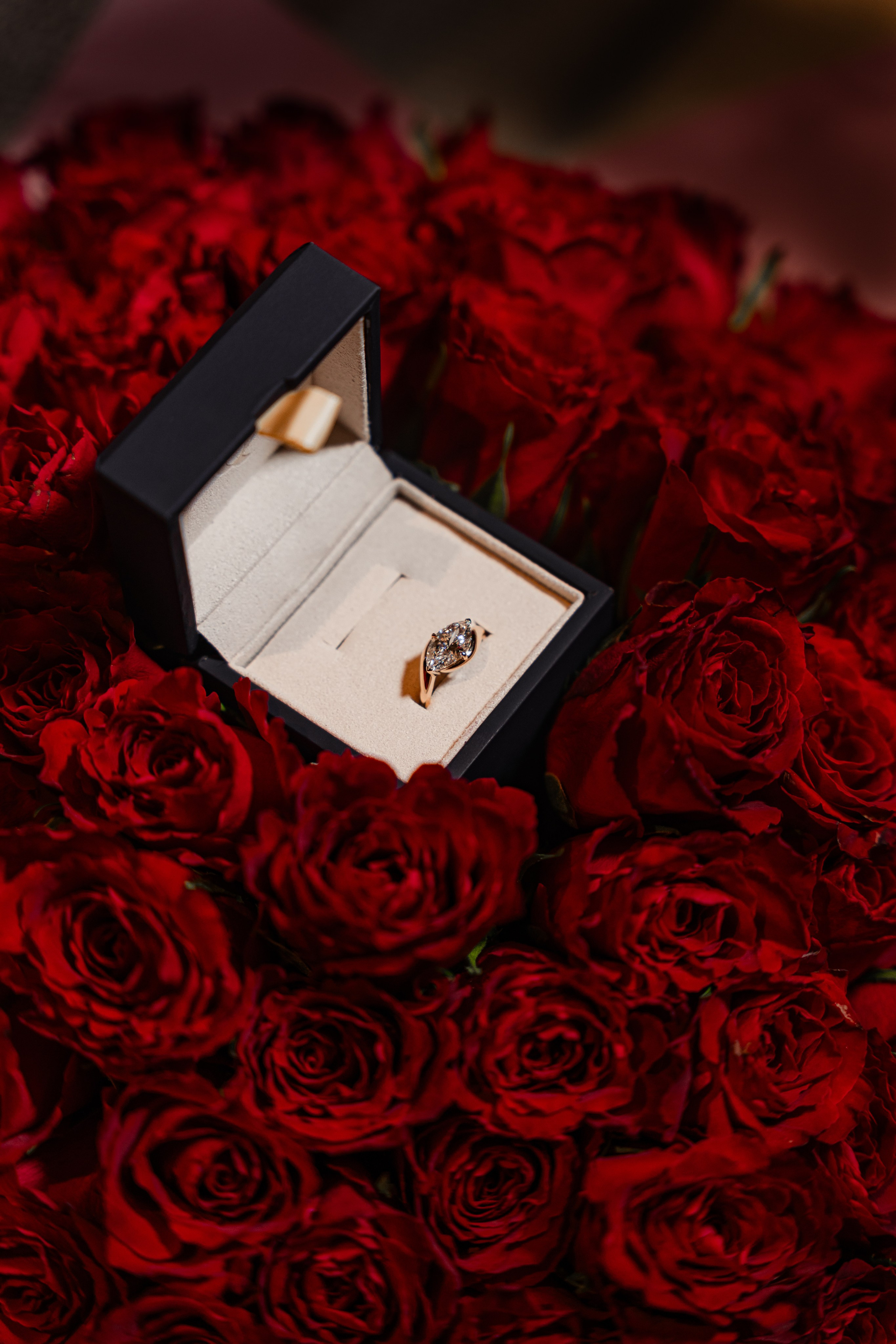 Proposal Cheval. Tonya Kyrylenko photographer in London