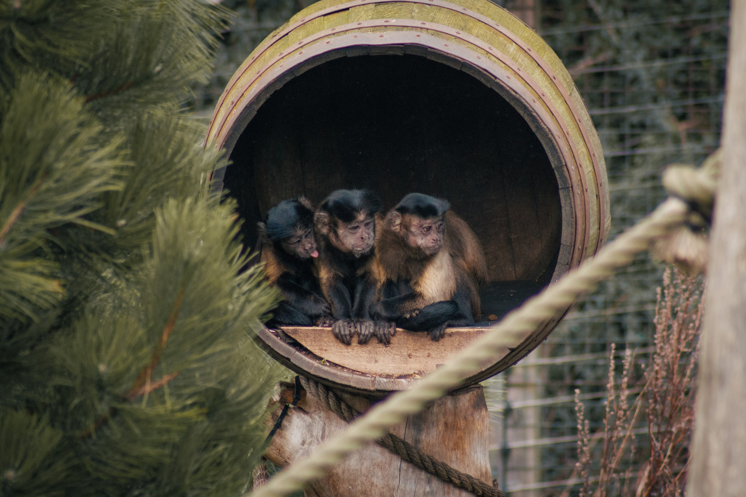 Nature. Portrait and Street photographer in Vilnius Edgar Shaipunas