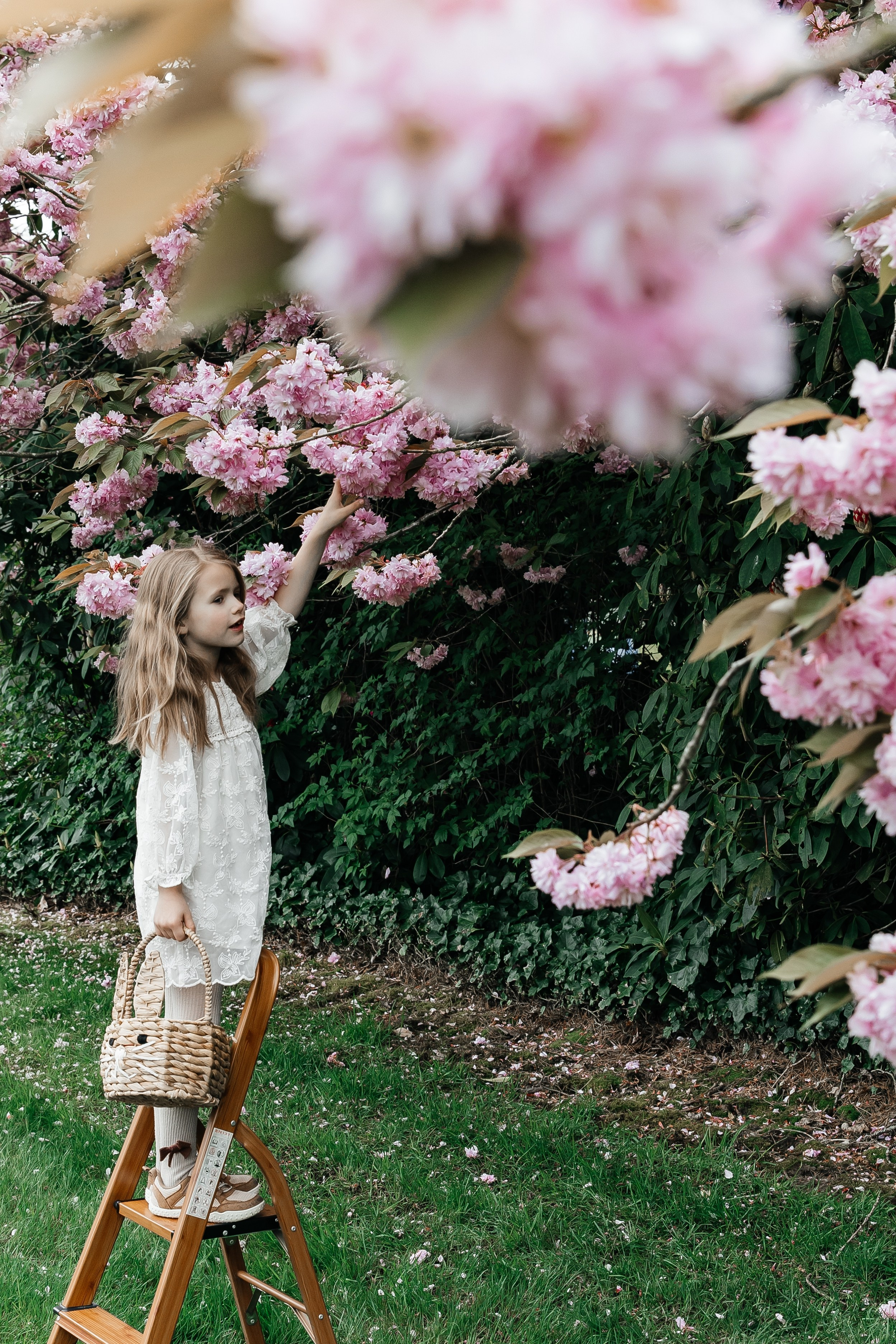 OLIVIA. Documentary and Portrait Photographer in Seattle