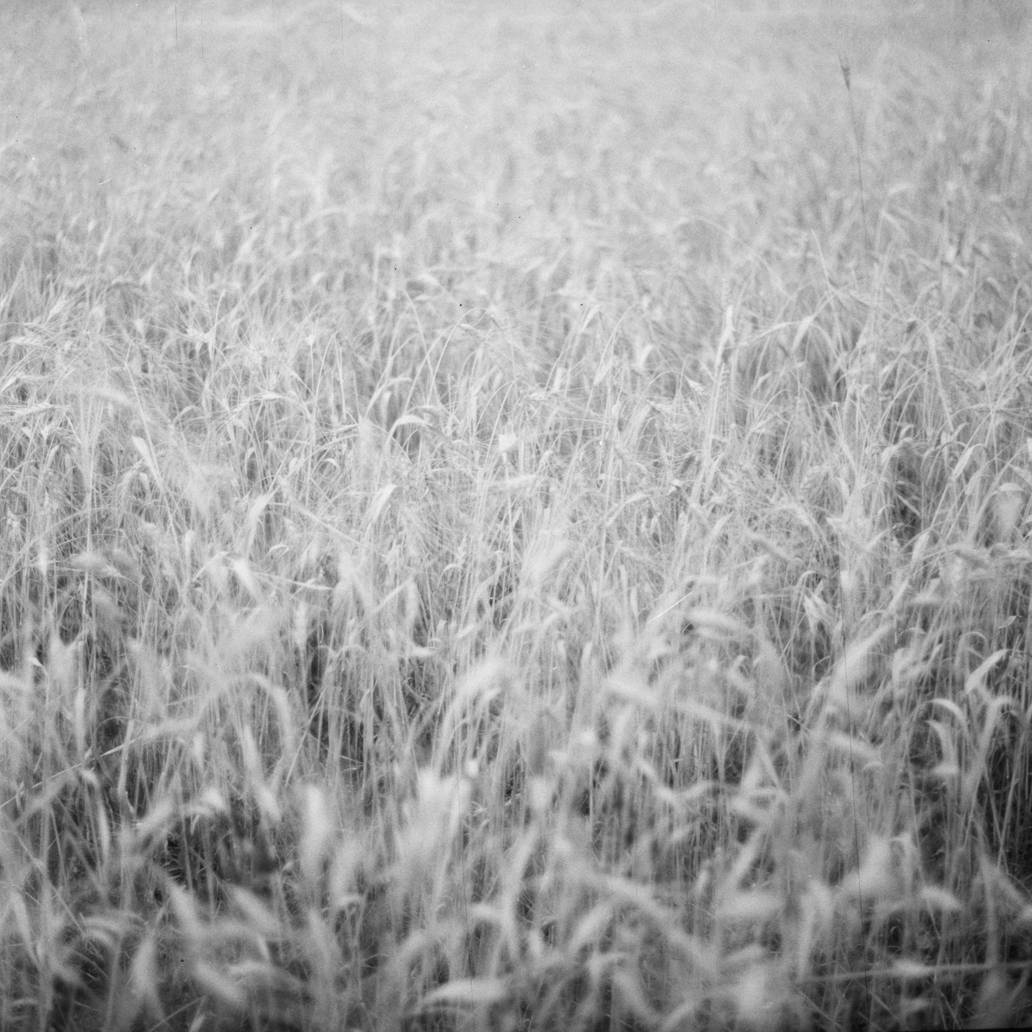 Grandmother. Ekaterina Fedorova