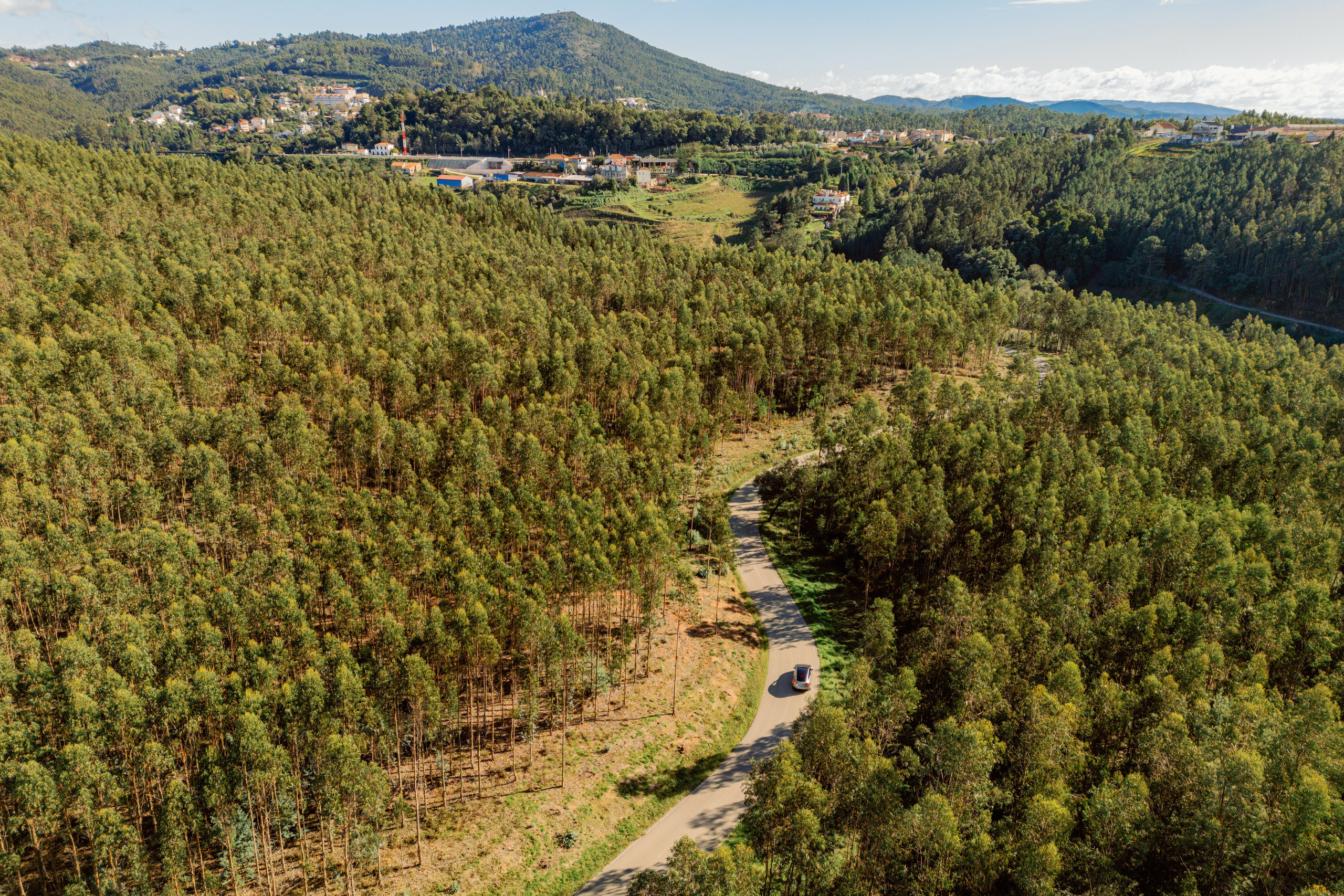 Бусаку — скрытая жемчужина Байррады
