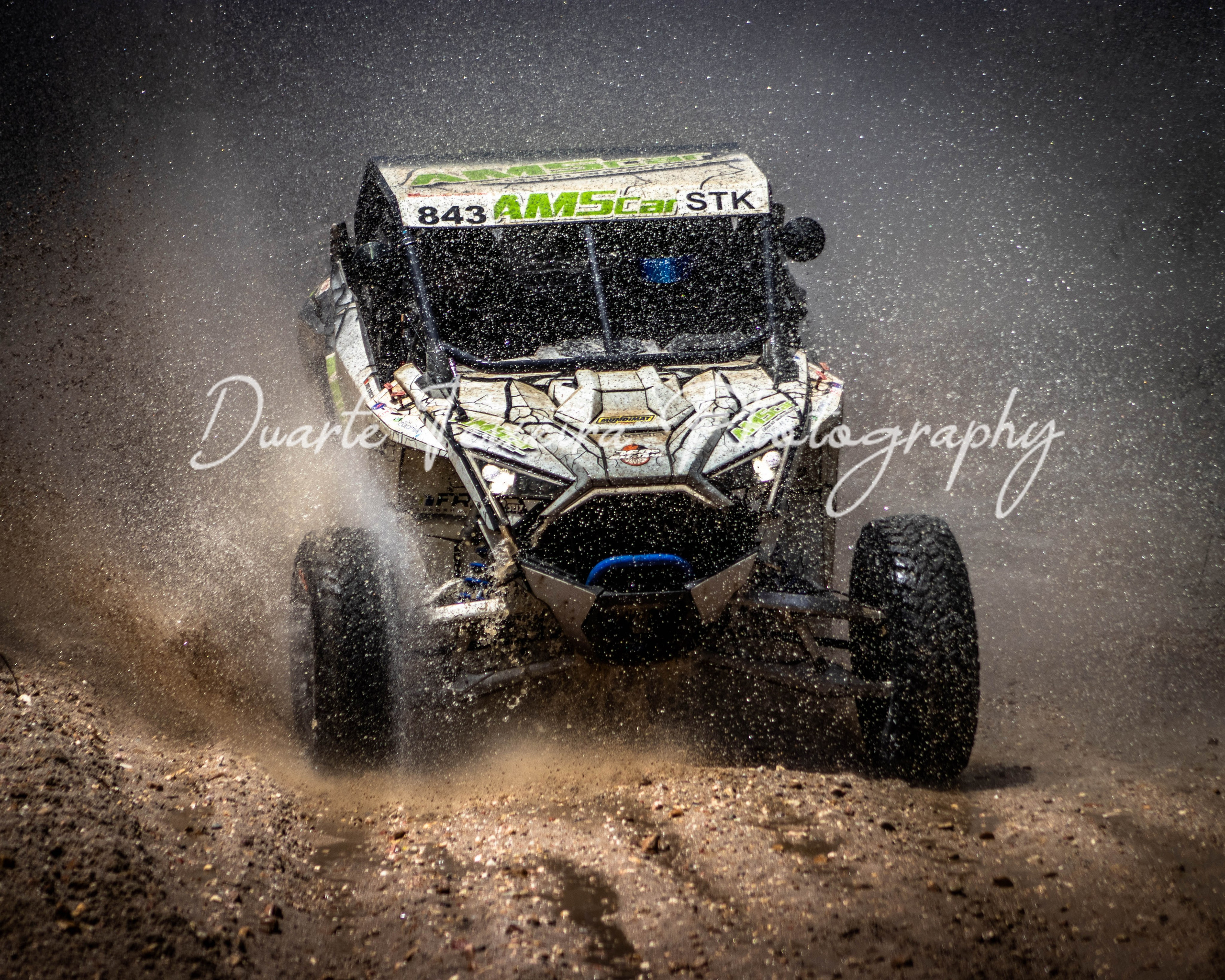 #843 Alexandre Silva / Rui Cascalho